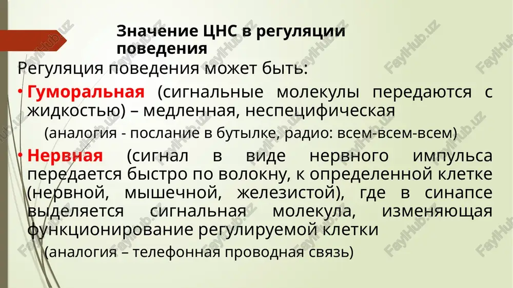 odit v limbicheskuyu sistemu i otvechaet za instinktivnie reaktsii staraya kora (archicortex, arxikorteks), kak i drevnyaya, sostoit tolko iz 2–3 sloyov neyronov. u amfibiy i reptiliy ona zanimaet verxnie uchastki bolshix polushariy. odnako, nachinaya s primitivnix mlekopitayushix, po mere uvelicheniya novoy kori, ona postepenno smeshaetsya na sredinnuyu poverxnost polushariy. u cheloveka etot vid kori naxoditsya v zubchatoy izviline i gippokampe. dalneyshee sovershenstvovanie slojnix form povedeniya svyazano s formirovaniem novoy kori (neocortex, neokorteks). u visshix mlekopitayushix neokorteks pokrivaet uvelichivshiesya bolshie polushariya, ottesnyaya vniz i medialno strukturi drevney i staroy kori. novaya kora naibolee razvita u cheloveka, eyo ploshad dostigaet 220 000 mm2, pri etom dve treti ploshadi kori naxoditsya v eyo skladkax. neokorteks stanovitsya tsentrom obucheniya, pamyati i intellekta, mojet kontrolirovat funktsii drugix otdelov mozga, vliyaya na realizatsiyu emotsionalnix i instinktivnix form povedeniya. neyrulyatsiya - obrazovanie nervnoy plastinki i eyo zamikanie v nervnuyu trubku odnorodnie pervichnie kletki stenki medullyarnoy trubki — …