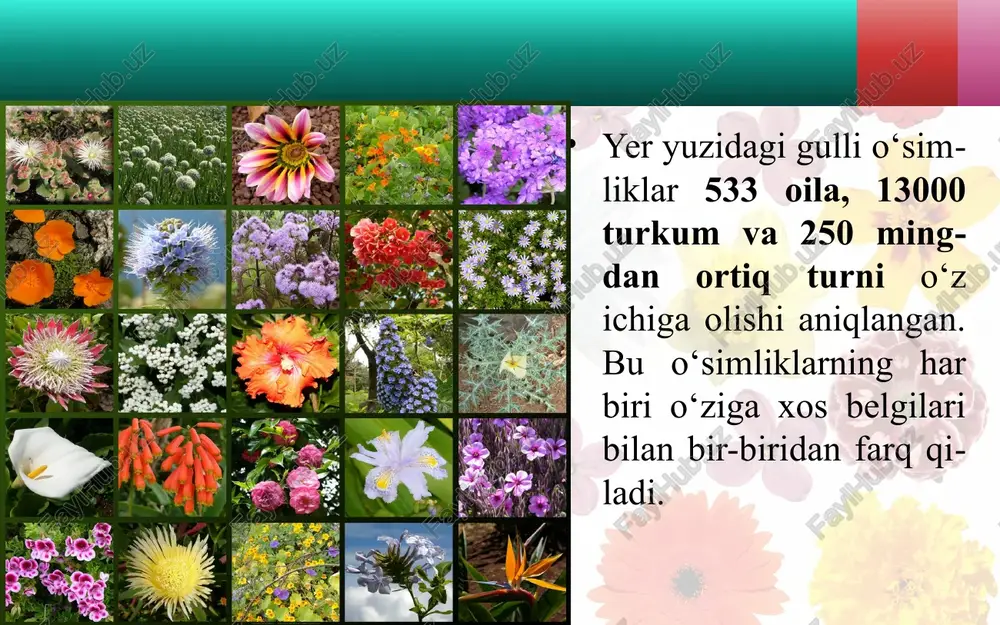 gullari turlicha shakl va rangli gulqo‘rg‘onlar - Page 3