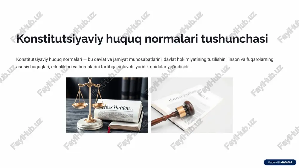 konstitutsiyaviy huquq normalari va ularning tasnifi - Page 3