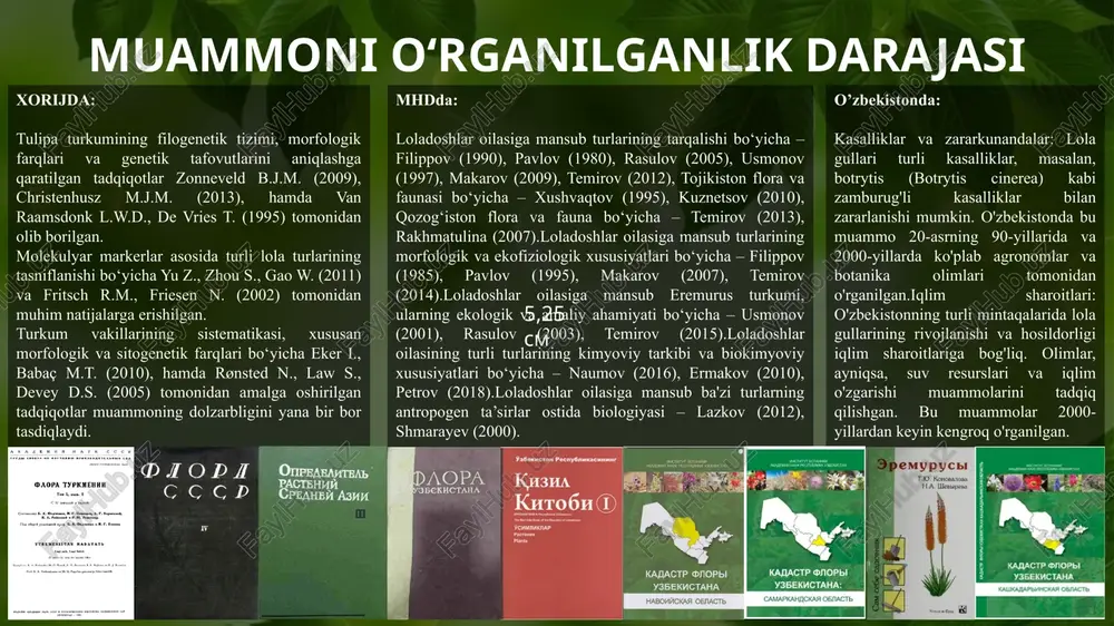larni hal etish yo‘llarini muhokama qilish. tadqiqot obyekti loladoshlar oilasiga mansub o‘simliklarning biologik va ekologik xususiyatlari. liliaceae turkumi turlarining tarqalishi dunyo miqyosida liliaceae turkumining tarqalishi turkumning dunyo florasida taxminan 610 turi (wikipedia, 2025) ro‘yxatga olingan.o‘zbekiston florasida 33 turi (tojibaev va boshq., 2022), toshkent botanika bog‘ida 28 turi (abdullaev, 2022) mavjud. xorijda o‘rta osiyoda xitoy – 4 iroq – 3 turkiya – 6 eron – 5 hindiston – 4 nepal – 3 pokiston – 3 rossiya (sibir va yevropa qismi) – 5 aqsh – 6 kanada – 2 fransiya – 3 italiya – 3 ispaniya – 2 qozog‘iston – 3 germaniya – 2 marokash – 2 gretsiya – 3 afg‘oniston – 2 suriya – 2 livan – 2 oʻzbekiston – 35 qozogʻiston – 30 qirgʻiziston – 25 tojikiston – 22 turkmaniston – 18 afgʻoniston – 20 milliy gerbariy o‘zbekiston fanlar akademiyasi botanika instituti huzurida faoliyat yuritadi va u mamlakatdagi eng yirik …