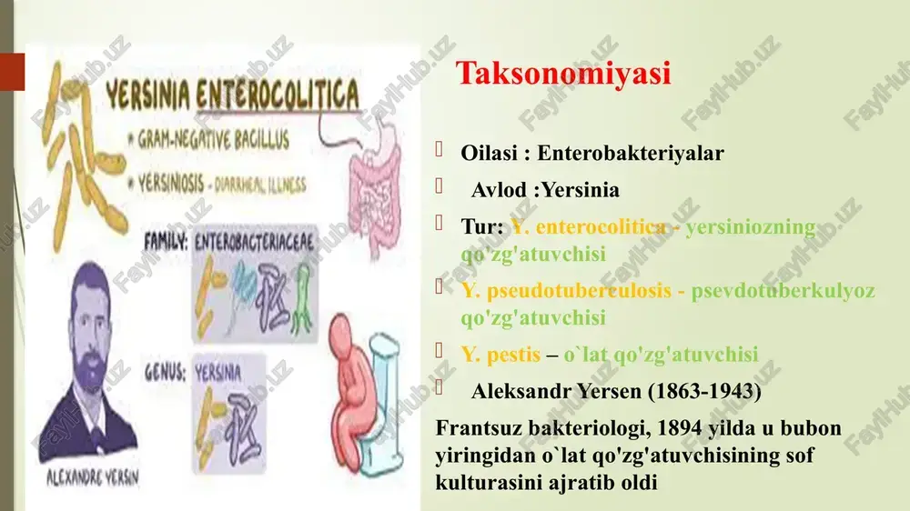 stlanishi, tugunli toshmalar, yuz terisining shishishi (kvinke), ko'zlardagi og'riq, kon'yunktivaning giperemiyasi va shishishi bilan o'tkir artrit belgilari bo'lishi mumkin. yersiniozning laborator diagnostikasi patologik material - najas, limfa tugunlari yoki olib tashlangan appendiks to'qimalari, qon, halqumdan shilliq modda. bakteriologik-endo muhiti, cin agar va boshqalar. serologik ifa davolash va oldini olish usullari levomisetin, tetrosiklin, sefotaksim, seftriakson, ftorxinolonlar (ofloksatsin va boshqalar), xloramfenikol. aminoglikozidlardan - kanamisin, gentamisin, neomsin, streptomisin. oziq-ovqat, suv ifloslanishini oldini olish. vabo qo'zg'atuvchisi xususiyatlari. xole - safro, reo - oqim v.cholerae. electron microscopy. vabo qo‘zg‘atuvchisi – v. cholerae. infeksiyaning tarixi: 4 ta bosqichi bor: 1817 y. gacha = endemik o‘choq – hindiston 1817 – 1925 y gacha = 6 ta pandemiya = (2-pandemiyaning o‘zida 20 mln.odam o‘lgan) 1925-1961 y. gacha = yana endemik o‘choq - hindiston 1961 y. dan = 7 – pandemiya 1992 y. bangladeshda v.cholerae o139 (bengal) turi topildi vaboning vatani - hindiston (hindistonda ganga va braxmaputra daryolari bor) …