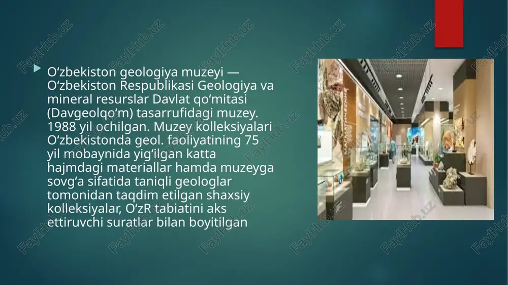 oʻzbekiston geologiya muzeyi - Page 3