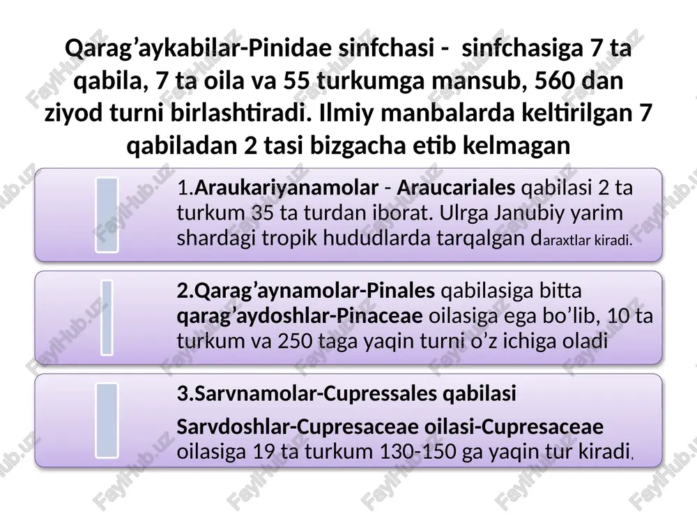 hiqqan yon novda uchida hosil bo’ladi. erkaklik (changchi) qubbasida bitta o’q bo’lib, ularga tangacha shaklidagi mikrosporangiy (changdon) joylashgan va ularning ichida mikrospora yoki changlar rivojlanadi. har bir mikrospora 2 qavat: tashqi (ekzina) va ichki (intina) po’st bilan o’ralgan. tashqi po’stining 2 yon tomonida havo bilan to’lgan 2 ta pufak hosil bo’ladi. bu moslamalar mikrosporalarni osongina olib keladi. mikrosporalar mikrosporangiy ichida una boshlaydi. har bir mikrospora o’z qobiqiga ega. qobiq ichida dastlab 2 ta protallial hujayra hosil bo’ladi, lekin ular tez orada yo’qolib ketadi. ma'lum vaqt o’tgach yana 2 ta yangi anteridial va vegetativ hujayralar vujudga keladi. shu vaqtda mikrosporangiy devori yoriladi va mikrosporalar shamol yordamida onalik qubbalariga kelib tushadi. onalik qubbalari bahor oyida o’sib chiqqan yosh uzun novdalarning uchlarida bitta yoki ikkitadan hosil bo’ladi. . bularda ham xuddi otalik qubbalaridek o’rtasidan o’q o’tadi. bu o’qga tangachalar birikkan.tangachalar ikki xil: biri kichkina yoki qoplovchi tangacha bo’lib, to’qridan -to’qri o’qda turadi. qoplovchi …