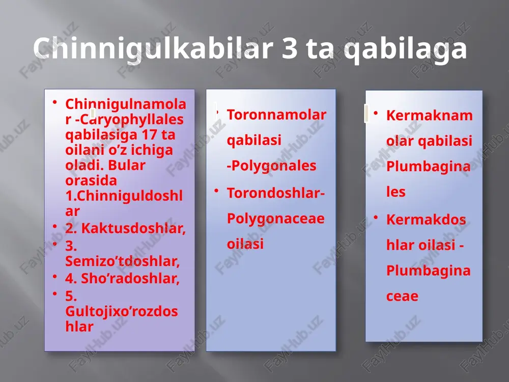 simlik. gulqo’rg’on bargi 5 ta, changchisi 1-3 ta. meva yoni ola, tez tushib ketadigan bo’ladi. bahorda ekinlar orasida, daryo va soylardagi toshli joylarda o’sadi. efir moyli o’simlik. ismaloq-spiniacia turkestanica– bir yillik, ikki uyli o’simlik. bo’yi 10-60 sm. gullari to’pgulda. changchi gullar gulqo’rg’oni 4 bo’lakli, changchilari 4-5 ta, boshoqsimon to’pgulga o’rnashgan. urug’chi gullarda gulqo’rg’on barglari yoq. uning o’rniga 2-4 tishli gul oldi o’rama barglar hosil bo’ladi. gullab bo’lgach, 4-6 ta urug’chi gullar o’zaro birlashib, tikansimon to’p meva hosil qiladi. pastki barglari urchuqsimon, o’tkir uchli. poyaning yuqori qismidagi barglar uchburchak, nayzasimon yoki lansetsimon. aprel-iyul oylarida gullab urug’laydi. ekinlar orasida o’suvchi begona o’t.vitaminli o’simlik. oq saksovul-haloxylon pyersicum, qora saksovul h. aphyllum - cho’llarda o’sadi. oq saksovul asosan qumlarda, qora saksovul sho’rxok tuproqlarda o’sadi. ulardan qumlarni ko’chishdan saqlashda, chorva mollari uchun yem-xashak sifatida foydalaniladi oddiy lavlagi-beta vulgaris. bu o’simlik ikki yillik bo’lib, birinchi yili urug’dan uzun bandli, har-xil shakga ega bolgan yirik, yashil, ba’zan …