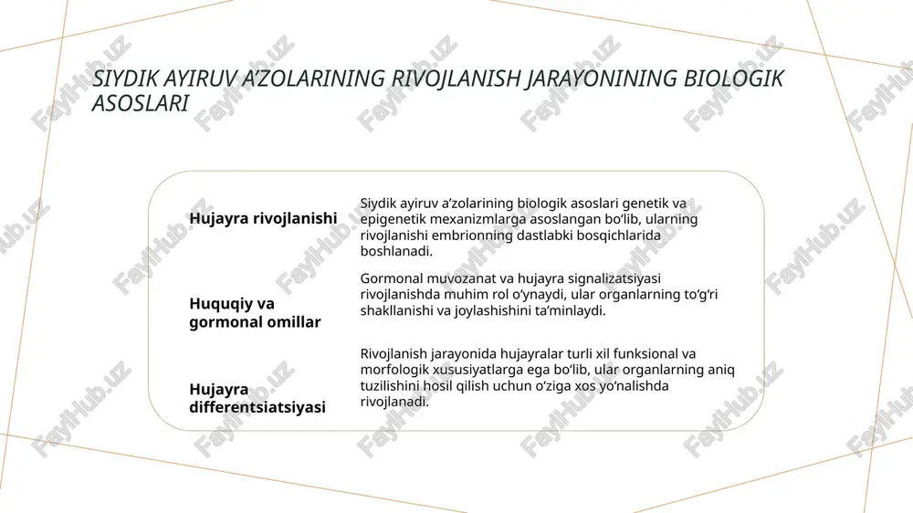 2021. 5. yusupov, h. 'siydik ayiruv a’zolarining rivojlanish nuqsonlari: klinik va diagnostik aspektlar'. o‘zbekiston respublikasi pediatriya ilmiy jurnali, 2022, 15(2), 67-74. e'tiboringiz uchun rahmat! /docprops/thumbnail.jpeg