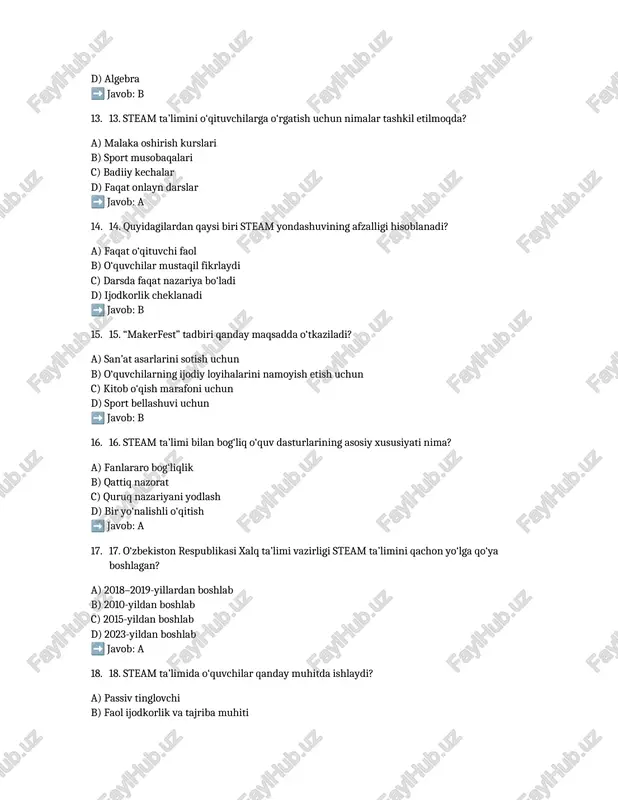 steam ta'limi testi - Page 3