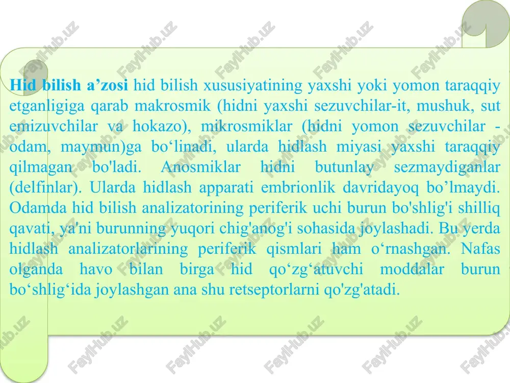 da yakunlanadi. 2. vii, ix, x juft nervlaming sezuv o'zaklaridan tashkil topadi. bu o'zaklar voroliy ko'prigi bilan uzunchoq miya sohasida o'zaro birlashib, umumiy ta’m biluv o'zagini tashkil etadi. ta’m biluv o'zagining markaziy o'simtalari qarama-qarshi tarafga o'tib kesishadi va miya oyoqchalari tarkibida yo'nalib, ko'ruv bo'rtig'ida yakunlanadi.bu tugun hujayralarning periferik o'simtalari va tilning ildiz qismida joylashgan ta’m bilish retseptorlaridan keladi. markaziy o'simtalari shu nerv tarkibida uzunchoq miyaga boradi. 3. uchinchi neyron hujayralari ko'ruv bo'rtig'ida joylashadi, bu tugun hujayralarning periferik o'simtalari va hiqildoq usti tog'ayi sohasida joylashgan ta'm bilish retseptorlaridan keladi. markaziy o'simtalar tarkibida uzunchoq miyaga boradi. shunday qilib, i-neyron uch xil nerv tarkibida uzunchoq miyaga boradi. ikkinchi neyron uzunchoq miya va ko'prikdagi shu nerv yadrolaridan boshlanib, ko'rish do'mbog'iga (thalamus) borib tugaydi. uchinchi neyron ko'rish do'mbog'idan boshlanib, ta’m bilish analizatori po'stloq markazining sohasiga boradi. uning o'simtalari ichki kapsula orqali o'tib, bosh miya po'stlog'ining ta’m biluv markazida yakunlanadi. natijada odamda ta’m bilish vujudga keladi. …