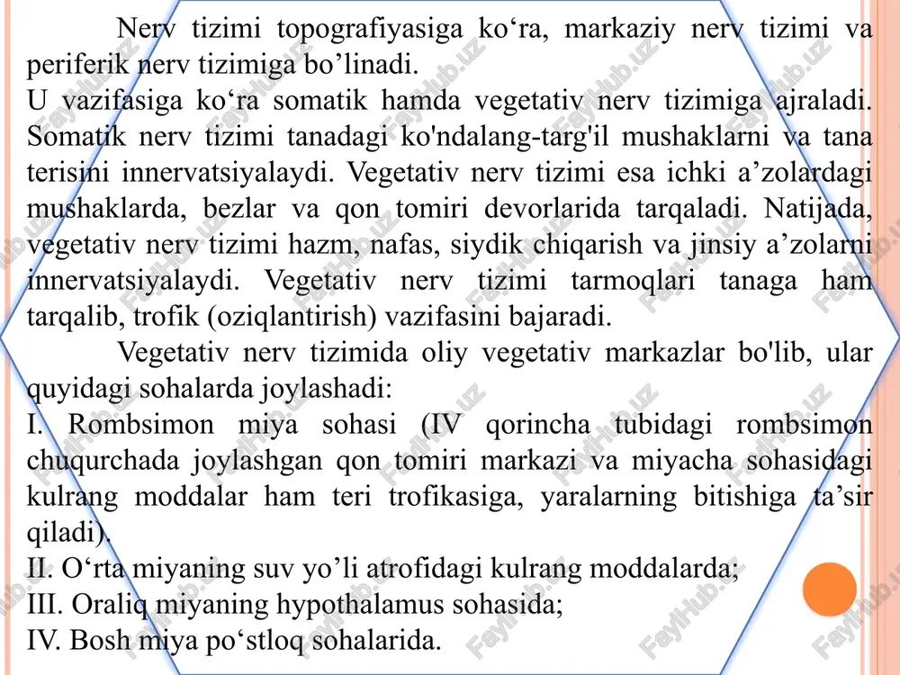 mda x juft bosh miya nervining o‘zaklari tashkil etadi. vii juft nerv - tarkibidagi parasimpatik nerv tolalari o‘zaklaridan boshlanadi. bu tolalar yuz kanali (canalis facialis) ichidan ajralgan kanal tirqishi orqali chiqib, chakka suyagi toshsimon qismining oldingi yuzasi bo‘ylab yo'naladi. nerv tolalari yirtiq teshik orqali o'tadi, kanal orqali qanot-tanglay chuqurchasiga tushadi va shu chuqurcha sohasidagi vegetativ tugunni hosil etishda qatnashadi. tugundan ajralgan parasimpatik tolalar ko'z yoshi bezini, burun va tanglaydagi mayda bezlarni innervatsiyalaydi. vii juft nerv - o'zagining yana bir parasimpatik tarmog'i yuz kanali - ichida ajralayotgan chorda tarmog'idir. bu nerv kanaldan o'rta quloq bo'shlig'iga o'tadi. nog'ora pardaning ichki yuzasidan yo'nalib, tirqish orqali kallaning tashqi yuzasiga chiqadi. chorda tarmog'i jag' osti tugunini hosil etishda qatnashadi. bu tugundan ajralayotgan parasimpatik tolalar jag' osti so'lak bezini hamda til osti so'lak bezini innervatsiyalaydi. bulbar sohada joylashgan o'zagidan ajraladigan parasimpatik tolalar ix juft tarkibida yo'naladi. bu nervdan ajralgan tolalari tirqish orqali o'rta quloq bo'shlig'iga o'tadi. …