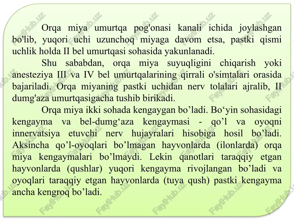 etadi. orqa miya kengaymalari embrion 3 oylik bo'lgan davr, ya’ni qo'l va oyoqlar taraqqiy eta boshlaganda ko'rinadi. orqa miya nerv hujayralari tanasi joylashgan kulrang moddadan va uni o'ragan mielinli nerv tolalaridan iborat bo'lgan oq moddadan tashkil topgan. orqa miya markazidan tor markaziy kanal o'tgan bo'lib, u kulrang modda bilan o'ralgan. bu kanal orqa miyani to'liq egallab, doimo miya suyuqlig'i bilan to'lib turadi. miya nayining qoldig'i bo'lgan markaziy kanal yuqorida iv qorincha bilan bog'lanib, pastga tomon kengayib, oxirgi qorinchani hosil qiladi. markaziy kanal atrofida joylashgan kulrang modda oraliq deyiladi. kulrang moddada ikki ustun tafovut qilinadi. orqa miyaning ko'ndalang kesimida joylashgan bu ustunlar shoxlarni eslatadi. ularning oldingi kengaygan shoxi, o'tkirlashib tugallanuvchi orqa shoxi mavjud. shunday qilib, kulrang modda umuman «h» harfini yoki kapalakni eslatadi. kulrang modda yuqorida aytib o'tilganidek, nerv hujayralaridan iborat. orqa shoxlarga orqa ildizcha tolalari kirib kelganligi sababli bu qirg'oq sohasi oq rangda. bu tolalar orqa miya tugunlaridagi hujayralarning o'simtalaridir. …