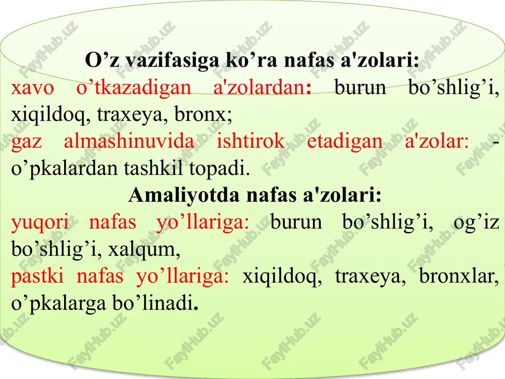 tog'ayi; 5)shoxsimon tog'ay; 6)ponasimon tog'aylar. hiqildoq muskullari ko'ndalang-targ'il muskullardan tuzilgan, ular odam ixtiyori bilan qisqaradi. ularning qisqarib tovush boylami holatini o'zgartirishi natijasida o'rtadagi yoriq kengayib torayadi. shuning uchun hiqildoq muskullari funksiyalariga qarab uch guruhga: siquvchi, bo'shashtiruvchi, tovush boylami holatini o'zgartiruvchilarga bo'linadi. ba’zi muskullar bir necha xil vazifani bajarganligi uchun ularga aralash vazifali muskullar deyiladi. hiqildoq bo'shlig’i-qum soatga o'xshagan bo‘lib, kirish teshigi noto‘g‘ri, oval shaklda. hiqildoqqa kirish qismi old tomondan hiqildoq usti tog'ayi qirralari bilan, orqadan cho'michsimon tog'ay - cho'michsimon tog'ay oraliq burma, ikki yonboshdan - cho'michsimon tog'ay bilan hiqildoq usti tog'ayi oraliq burma bilan chegaralanadi. hiqildoqning pastki kengaygan qismi asta-sekin torayib, kekirdakka qo'shiladi. hiqildoqning shilliq pardasi pushti rangli, ko'p qatorli, kiprikli qadahsimon hujayralar aralashgan epiteliydan iborat. sezuvchi nerv oxirlari hiqildoq dahlizida ayniqsa ko'p tarqalgan. shu sababli havo bilan kirgan zarrachalar, changlar yo'talga sabab bo'ladi. hiqildoq faqat havo o'tkazish a’zosi bo'lib qolmasdan, tovush chiqarish a’zosi hamdir. nafas chiqarishda kekirdakdan kelayotgan havo …
