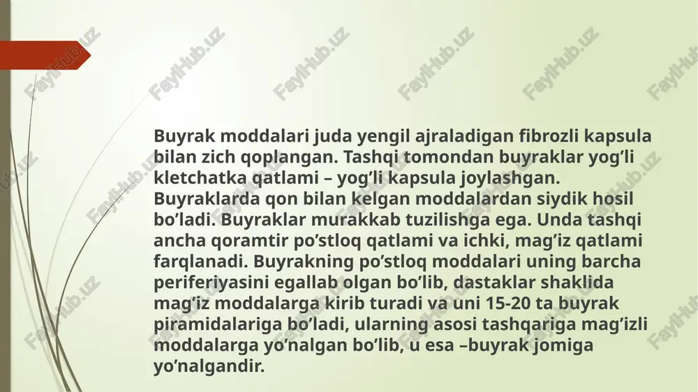 ng). voyaga yetgan odamlarda bir kecha-kunduzda 150-170 l.ga yaqin birlamchi siydik hosil bo’ladi siydik hosil bo’lishining ikkinchi fazasida birlamchi siydik tarkibidagi suv va boshqa moddalarning qayta qonga so’rilishireasorbtsiya yuz beradi. birlamchi siydik qonga suv, ko’plab tuzlarni, glyukoza, aminokislotalar va boshqa moddalarni beradi. mochevina, siydik kislotasi qayta so’rilmaydi. qayta so’rilishdan tashqari, buyrak kanalchalarida faol sekretsiya jarayoni ham yuz beradi. qayta so’rilish va siydik kanalchalarining faol sekretsiyasi natijasida bir kechakunduzda voyaga yetgan odamlarda 1,5 l haqiqiy (ikkilamchi) siydik hosil bo’ladi. yosh ulg’ayishi bilan siydikning miqdori ham tarkibi ham o’zgaradi. bolalarda siydik voyaga yetgan odamlarga nisbatan ko’p ajraladi, siydikni chiqarilishi bolalar ratsionida nisbatan katta miqdorda suv va uglevodlarning bo’lishi va suv almashinuvining jadal kechishi hisobiga juda tez va ko’p bo’ladi. faqat tug’ilganidan keyingi birinchi 3-4 kunlari ajraladigan siydikni miqdori unchalik ko’p bo’lmaydi. bir oylik bolalarda bir kecha-kunduzda 350-380 ml siydik ajraladi, bir yoshning oxiriga kelib –750 ml, 4-5yoshda –1 l ga yaqin, 10 …