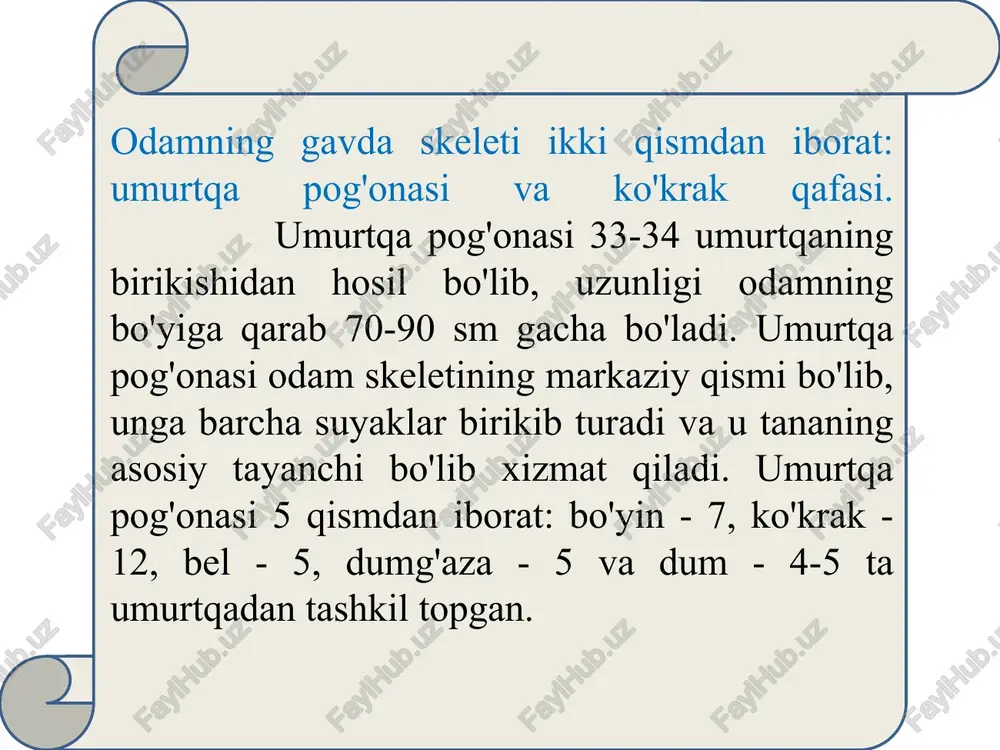 tan qisqa. ularning oyoq kafti uzun, son qismi qisqa. yoshga qarab oyoqning qismlari har xil tezlikda o'sadi. balog'at davrida son qismi yangi tug'ilgan bolaga nisbatan 4,5 marta o'ssa, boldir 3,7 oyoq kafti esa 3 marta kattalashadi. qo’lning kamari va erkin suyaklari. kurak suyagi, (scapula) ko‘krak qafasining orqa yuzasida joylashgan juft suyakdir. uning uchta qirrasi, uchta burchagi bor. kurak suyaginnig qirralari margo superior, margo medialis va margo lateralis farqlanadi. kurakning bu qirralari bir biriga o‘tishda 3 ta burchak, - angulus superior, angulus inferior, angulus lateralislarni hosil qiladi. kurakning qovurg‘a va orqa yuzlari, facies costalis et dorsalislari farq qilinadi. kurak suyagining qovurg‘a yuzasi fossasub scapularis deb ataladi. dorsal yuzasi uning qirrasi, spina scapulae yordamida qirra usti chuqurchasi, fossa supraspinata ga va qirra osti chuqurchasi, fossa infraspinata ga bo‘linadi. kurak suyagining qirrasi lateral tomonga yo‘nalib akromion, acromion o‘sig‘ini hosil qiladi. kurak suyagining lateral burchagida bo‘g‘im chuqurchasi, cavitas gleniodale bo‘lib, uning ustki va pastki …