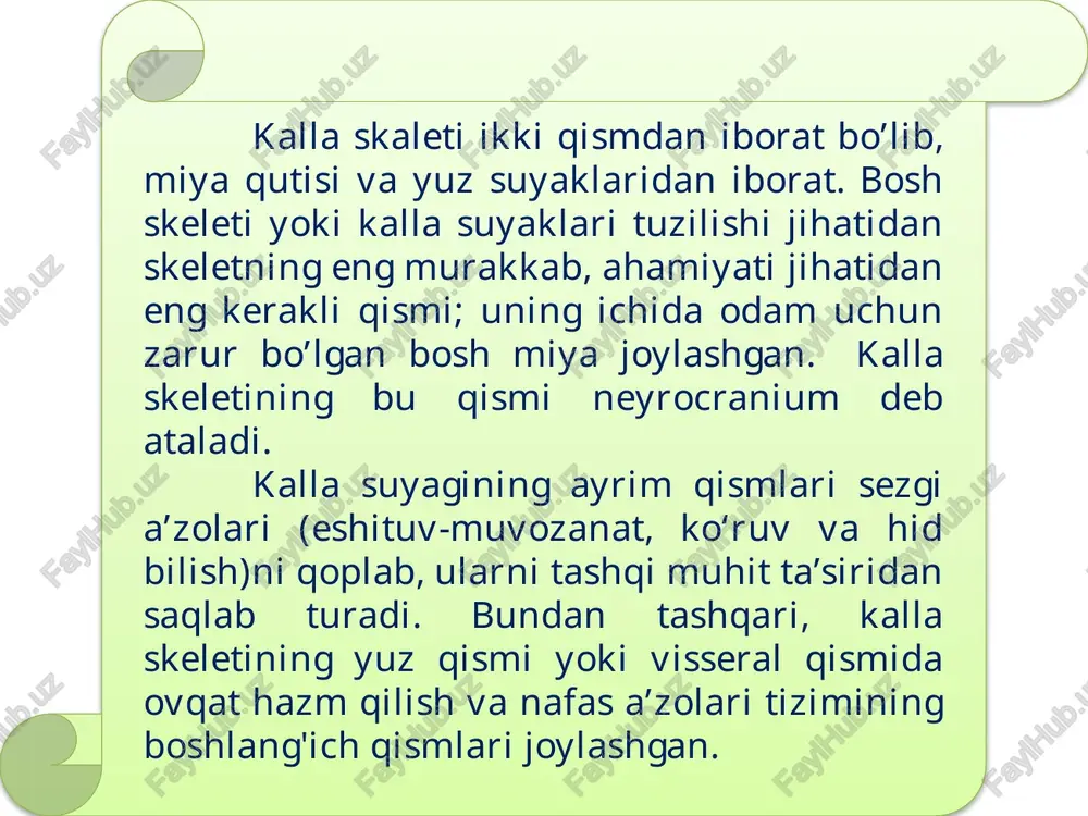 an tog'aylar o'zaro qo'shilib, bosh miyaga kirayotgan qon tomirlar va chiqayotgan nervlarni o'raydi. homila hayotining ikkinchi oyi oxiri va uchinchi oyi boshlarida tog'ay boshning ichki va tashqi asosi o'z shaklini oladi.kallaning miya hamda yuz qismi suyaklari endesmal yo'l bilan suyaklanadi. kallaning yuz qismi suyaklari visseral ravoqlardan taraqqiy etadi. kalla qopqog'ini peshona suyagining palla qismi, tepa suyagi, ensa va chakka suyagining serbar qismi va ponasimon suyakning katta qanoti hosil qiladi. yangi tug'ilgan chaqaloqda kallaning qopqoq qismi asosiga nisbatan katta. bola hayotining birinchi yilida kallaning qopqoq qismi tez o'sadi va bir yoshga to'lganda uning uzunligi katta odam boshining 1/2 ga teng bo'ladi. keyinchalik uning o'sishi sekinlashib, 20 yoshda doimiy shakl oladi. bir yoshgacha bo'lgan bolaning kalla qopqog'i suyaklari elastik bo'lib, ularda zich (kompakt) qavat yaxshi takomillashgan. tashqi qatlam va ichki qatlam o'rtasida ma’lum chegara bo'lmagani uchun bola kalla suyagi lat yeganda ichki qatlami ko'chmaydi. kalla qopqog'i suyaklarining tashqi yuzasi silliq bo'lib, faqat …