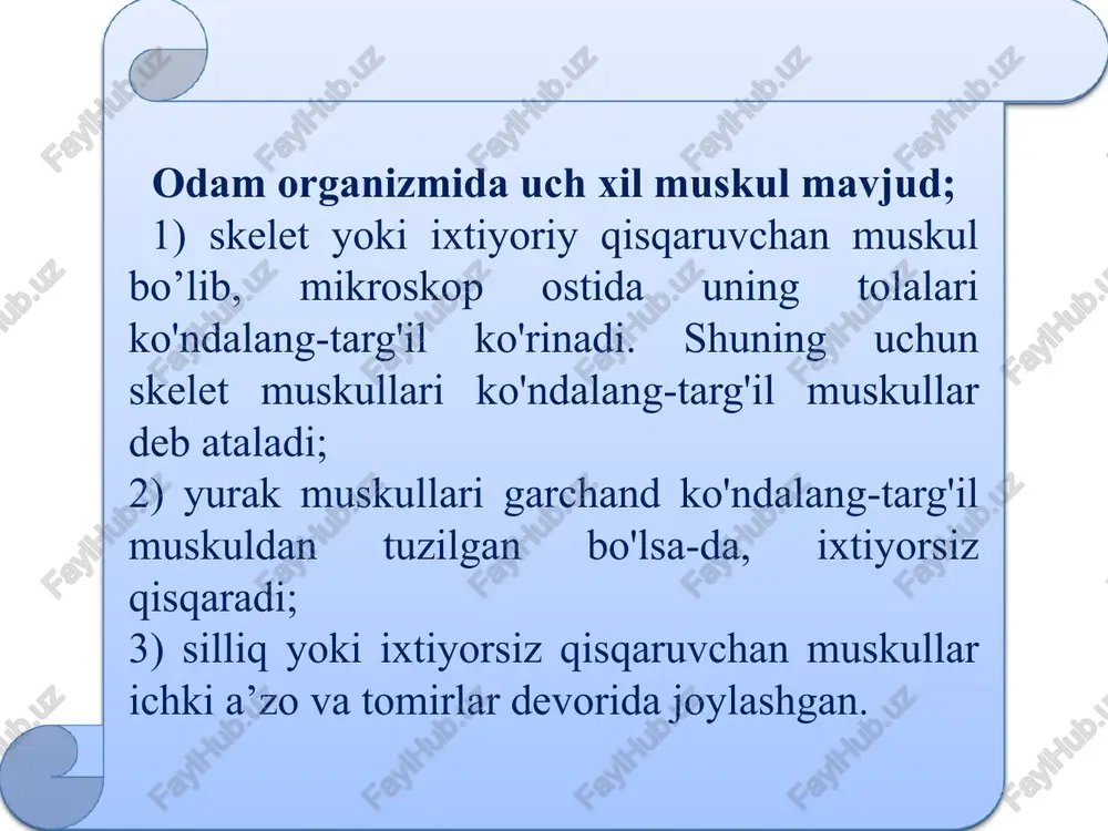 bo'ladi. umurtqa pog'onasi atrofidagi miotomlardan bo'yin, ko'krak, orqa, qorin, qo'l va oyoq mushaklari taraqqiy qiladi. uchta ensa miotomidan til va til osti sohasidagi mushaklar rivojlanadi. birinchi quloq oldi miotomidan ko'z soqqasini harakatga keltiruvchi ko'pchilik mushaklar rivojlanadi. ikkinchi quloq oldi miotomidan ko'z soqqasining yuqorigi qiyshiq mushagi rivojlanadi. uchinchi quloq oldi miotomidan ko'z soqqasining lateral to'g'ri mushagi rivojlanadi. birinchi visseral ravoq mandibular ravoq deyilib, quyidagi mushaklar rivojlanadi: chaynov mushaklari va ikki qorinchali mushakning oldingi qorinchasi, nog'ora bo'shlig'idagi nog'ora pardani taranglovchi mushak, yumshoq tanglayni taranglovchi mushak. ikkinchi visseral ravoq gioid ravog'i deb atalib, bu ravoqdan mimika mushaklari, ikki qorinchali mushakning orqa qorinchasi, bo'yindagi teri osti mushagi rivojlanadi. uchinchi visseral ravoq birinchi jabra ravog'i deb atalib, bu ravoqdan halqumning mushagi rivojlanadi. to'rtinchi visseral ravoq ikkinchi jabra ravog'i deb atalib, bu ravoqdan halqumning qisuvchi mushaklari rivojlanadi. beshinchi visseral ravoq uchinchi jabra ravog'i deb atalib, ikkinchi jabra ravog'ining ishtirokida bo'yindagi mushagi va orqadagi mushagining rivojlanishida qatnashadi. …
