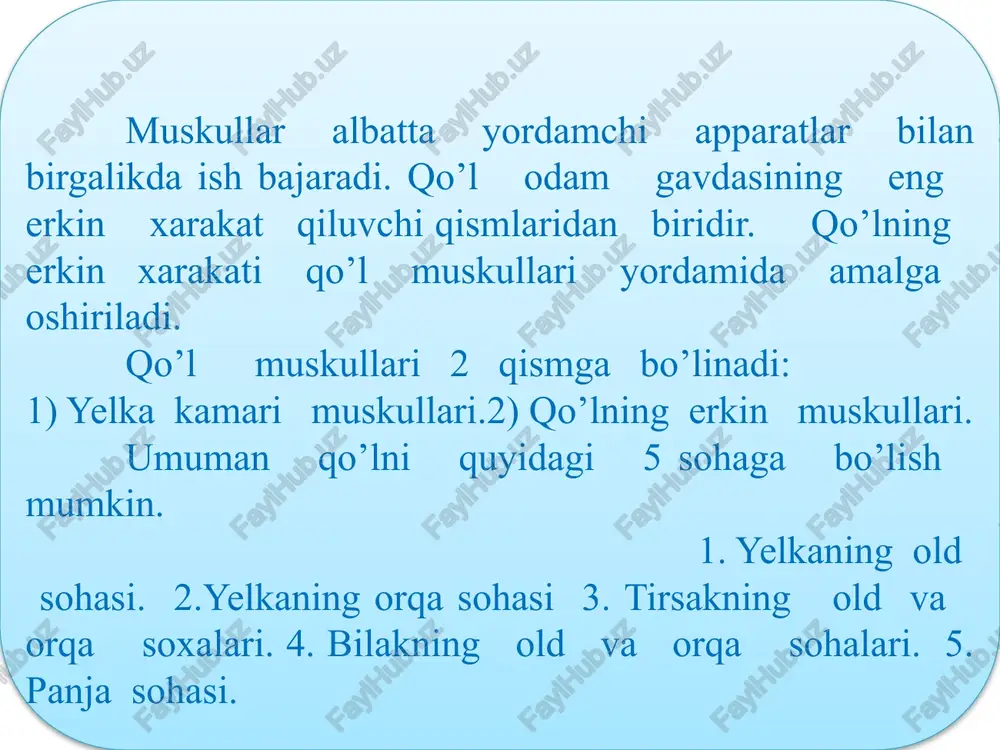 oldi sohasidagi no’xatsimon suyakka birikadi. bu muskulda boshchalari bo’ladi. vazifasi: kaftni tirsak tarafga bukadi. 5) panjani bukuvchi yuza muskuli-yelka suyagining o’simtasidan, tirsak suyagining tojsimon o’simtasidan, bilak suyagining yuqori uchidan boshlanib, paylari 4 ga bo’lingan holda, ii – v barmoqlarning o’rta falangalari asosiga birikadi. vazifasi: ii – v barmoqlarni bukadi. 2.1) bosh barmoqni bukuvchi uzun muskuli. yelka suyagining o’simtasidan, bilak suyagining oldingi yuzasidan va bo’rtig’idan boshlanib, bosh barmoq tirnoq falangasining asosiga birikadi. vazifasi: bosh barmoqni bukadi. 2) barmoqlarni bukuvchi chuqur muskuli tirsak suyagining oldingi yuzasidan boshlanib, 4 ta payga ajraladi va ii – v barmoqlarning tirnoq falangalariga birikadi. vazifasi: ii – v barmoqlarni bukadi. 3) kvadrat muskuli-tirsak suyagi pastki uchining oldingi yuzasidan boshlanib, bilak suyagining oldingi yuzasiga birikadi. vazifasi: bilakni ichkariga buradi. orqa guruh muskulari(yuza muskuli) 1) yelka-bilak muskuli-yelka suyagining tashqi yuzasidan boshlanib, bilak suyagi pastki uchidagi bigizsimon o’simta uchiga birikadi. vazifasi: bilakni tirsak bo’g’imida bukadi. 2) qo’l panjasini yozuvchi bilak …