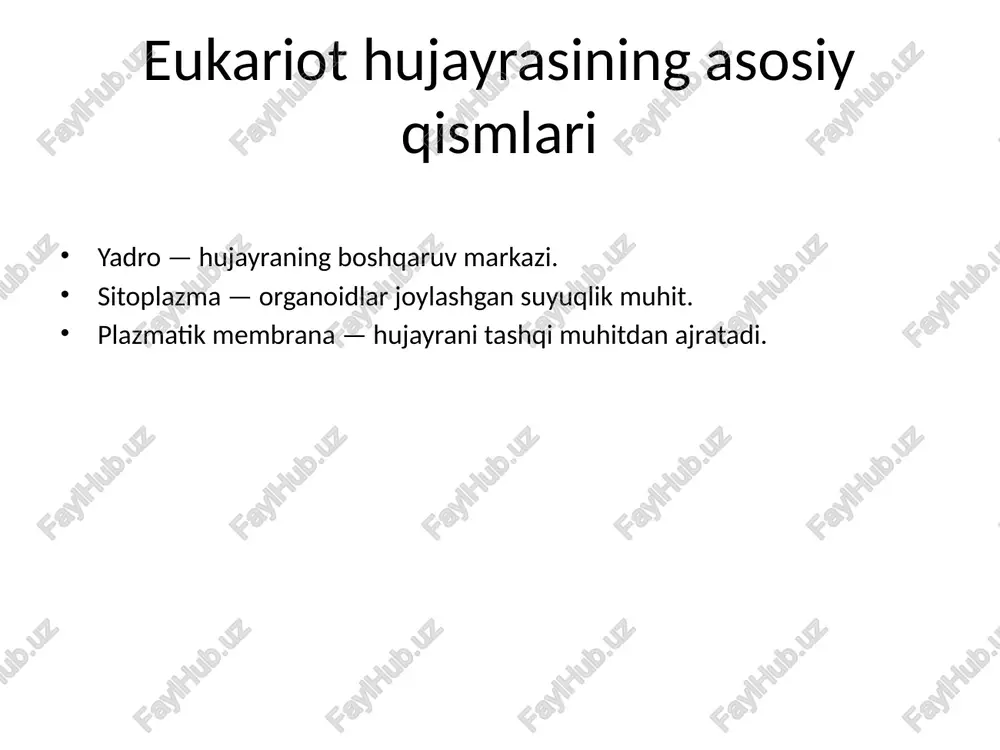 eukariotlar - Page 3
