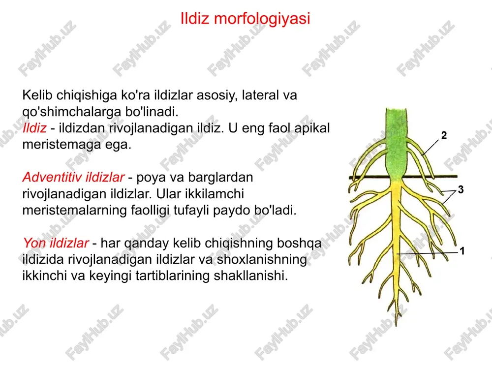 kompost, yashil go'ng); mineral - azot, fosfor, kaliy va boshqa sanoat o'g'itlari va ularning mahalliy o'g'itlari - kul. mineral o'g'itlar muhim oziq moddalar tarkibiga ko'ra sanoat o'g'itlari quyidagilarga bo'linadi: oddiy yoki bir tomonlama - uchta eng muhim oziq moddalardan ( n , p yoki k ) faqat bittasini o'z ichiga olgan o'g'itlar - azot, fosfor, kaliy; murakkab , yoki estrodiol - ikki yoki uchta elementni o'z ichiga olgan o'g'itlar: azot-kaliy, azot-fosfor, azot-fosfor-kaliy (nitrofoska). eng muhim o'g'itlar: azotli - ammoniy nitrat, karbamid (sintetik karbamid), ammoniy sulfat, ammoniy xlorid, natriy nitrat, kaltsiy nitrat (poya va barglarning o'sishini kuchaytiradi); fosfor - oddiy superfosfat, qo'sh superfosfat, fosfat jinsi, suyak uni (gullashni uzaytirish, meva pishishini tezlashtirish); kaliy : kaliy xlorid, kaliy sulfat, kaliy karbonat, kaliy sulfat (ildiz, piyoz, ildiz o'sishini kuchaytirish); murakkab o'g'itlar : sulfat nitrofoska, sulfat nitrofoska, nitroammofoska ( n , p , k ), ammofos, diammofos ( n , p ), kaliy polifosfat, …
