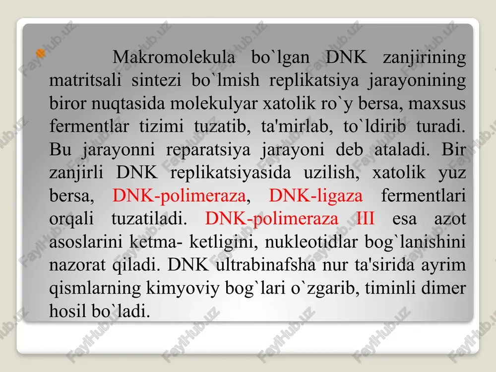 uh n – nukleozid; p – fosfat. ●purin yoki pirimidin azot asoslari bo`yicha ta'sir etuvchi fermentlar; ●restriktaza asosida ta'sir etuvchi enzimlar. dnk va rnklarning degradatsiyasi gidrolitik va fosforilitik nukleazalar ishtirokida sodir bo`ladi. fosforilitik parchalanishda jumladan, rnk molekulasidan nukleotid qoldig`i noorganik fosfat kislotasiga uzatiladi. rnkn + n3ro4 rnkn-1 + nadf (nukleoziddifosfat) ushbu reaksiya hujayradagi noorganik fosfat kislota konsentratsiyasini bir me'yorda saqlanishida hizmat qiladi. rnk -aza va dnk-azalarning hujayradagi vazifalari bir xil bo`lmaydi. masalan, pankreatik ribonukleaza (rnk - aza i ) ekzo-va endonukleaza xususiyatiga ega bo`lib, turli xil rnk larni parchalaydi. bular bilan bir qatorda yuqori spetsifik to`qimali rnk-azalar bo`lib, ular rnk-dagi muayyan bog`larni uzishda xizmat qiladi. bu reaksiya ribosom va transport rnk larni shakllanishida ishtirok etadi. oshqozon osti bezining tarkibidagi dnk - aza bir zanjirli molekulani 5' tomonidagi fosforil guruhidan boshlab oligodezoksiribonukleotidlargacha parchalaydi. taloq tarkibida aniqlangan dnk-aza ii, dnk ning ikkita zanjiridagi 3'- 5'- fosfodiefir bog`larini katalizlab, 3'-fosfooligonukleotidlarni hosil qiladi. restriktaza …