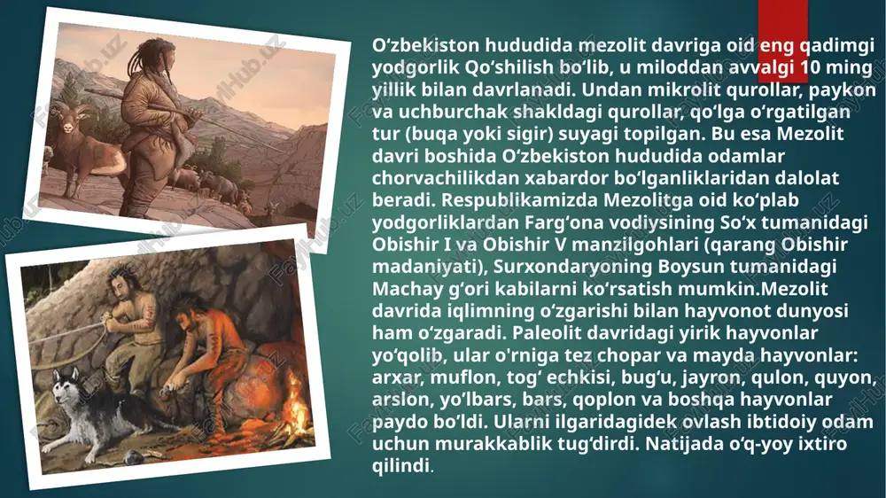 . ular kichikroq, aniqroq va puxta yasalgan asboblar yasashga o‘tishdi. uy-joylar ko‘proq vaqtinchalik boshpanalardan iborat bo‘lib, ularning qurilish materiali asosan yog‘och, tosh va terilar edi. odamlar o‘z yashash joylarini tabiiy resurslardan foydalanib qurib, ko‘chmanchilikni davom ettirdilar, lekin ba’zi hududlarda qisman mahalliylashtirish jarayoni boshlandi. madaniy hayotda ham o‘zgarishlar yuz berdi. qo‘l san’ati rivojlandi, terilarni bezash, hayvon shaklidagi figuralar yasash keng tarqaldi. bu esa odamlarning estetik didi va ma’naviy ehtiyojlari oshganidan dalolat beradi. mezolit davri odamlarining diniy va ma’naviy hayotining boshlang‘ich ko‘rinishlari ham aynan shu davrga to‘g‘ri keladi. jamiyat tuzilmasi ancha soddaligi bilan birga, guruhlar o‘rtasida kooperatsiya va ijtimoiy aloqalar rivojlana boshladi. oila va kichik jamoalar shakllanib, odamlarning o‘zaro aloqalari mustahkamlandi. ko‘chmanchi hayot tarzidan asta-sekin qisman mahalliylashtirilgan hayotga o‘tish boshlangani bu davrning o‘ziga xos jihatlaridan biridir. mezolit davri odamlarining ixtirolari va turmush tarzidagi o‘zgarishlar keyingi neolit davrining rivojlanishiga tayyorgarlik bo‘lib xizmat qildi. xususan, ovchilik va baliq ovlashdagi yangi texnikalar, boshpana qurishdagi takomillashtirishlar, …