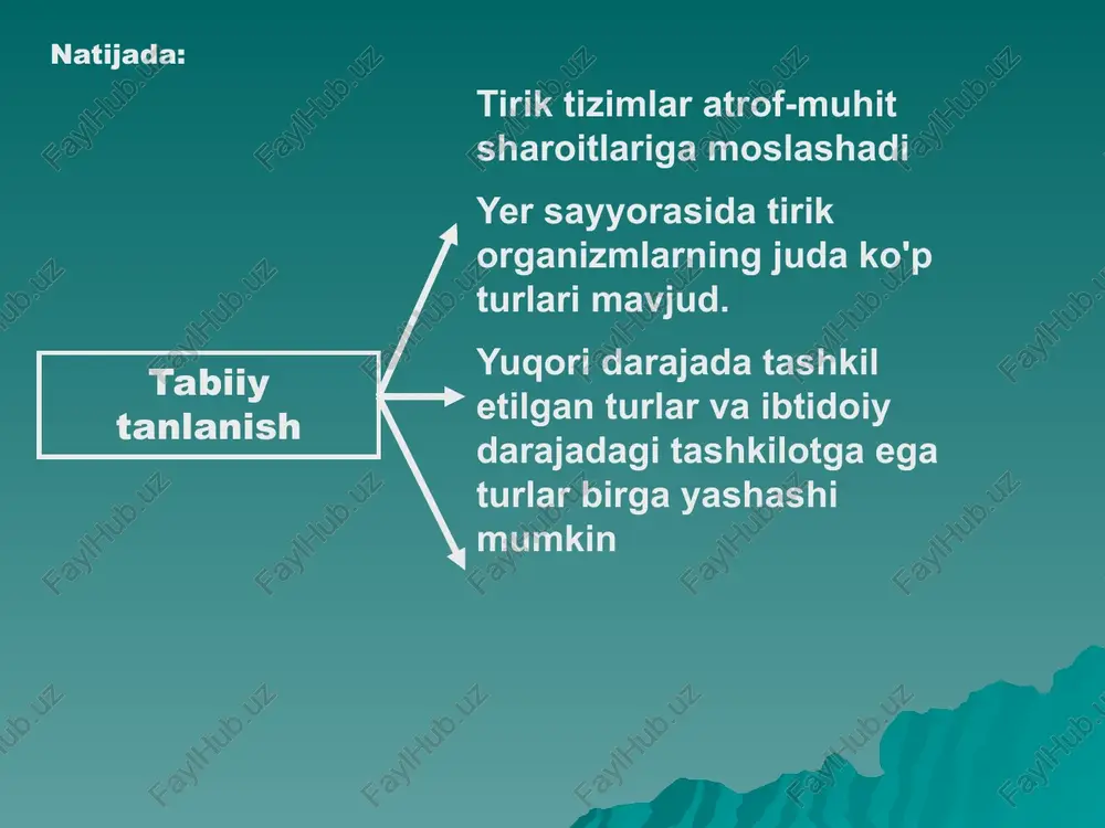 uchun foydali xususiyatdir. tabiiy tanlanish natijalari: 1. populyatsiyaning genetik tuzilishini saqlash 2. populyatsiyaning genetik tuzilishining o'zgarishi 3. oldindan mavjud bo'lgan xususiyatlarning yangi variantlarining paydo bo'lishi 4. prinsipial jihatdan yangi xususiyatlarning paydo bo'lishi 5. yangi turlarning shakllanishi 6. biologik evolyutsiyaning progressiv tabiati tabiiy tanlanish haqidagi g'oyalarning rivojlanish tarixi evolyutsiyaning harakatlantiruvchi kuchi sifatida tabiiy tanlanish haqidagi dastlabki g'oyalar 19- asr boshlarida paydo bo'lgan. britaniyalik uilyam uells, patrik metyu, edvard blyth 19- asr boshlarida. bir-biridan mustaqil ravishda ular tabiatda qattiq raqobat bor, shuning uchun faqat eng kuchli, ma'lum bir hudud sharoitiga moslashganlar avlod qoldirishi mumkin degan xulosaga kelishdi; mavjudlik uchun kurash jarayonida atrof-muhit sharoitlariga eng mos keladigan shaxslar omon qoladi, ya'ni "tabiat qonunidan foydalangan holda tanlov" ishlaydi. gerbert spenser (ingliz psixologi, 1820-1903) tabiiy tanlanishni eng kuchlilarning omon qolishi deb tushungan. k.darvin ham xuddi shu seleksiya tushunchasidan foydalangan, lekin “...boshqalardan zarracha ham ustunlikka ega bo‘lgan shaxslarning omon qolish va o‘z turini davom ettirish imkoniyati …