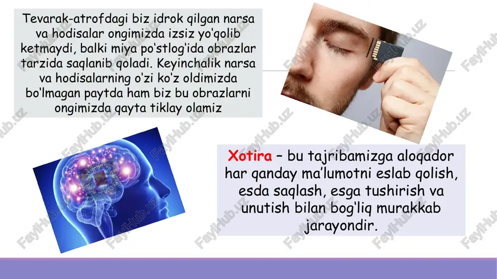 son tomonidan bevosita amalga oshirilayotgan faol tezkor harakatlar, usullar uchun xizmat qiluvchi jarayonni anglatuvchi mnemik holat operativ xotira deb ataladi. uzoq muddatli xotira - xotira tizimidagi doimiy va chegarasiz bog‘liqlik. u nisbatan samarali va mustahkam bilim, ko‘nikma va tajribalami o‘z ichiga oladi qisqa muddatli xotira - faol xotirada bir necha belgilar aniq saqlanadi, masalan, 7 ta raqamgacha bo‘lgan ma’lumotlami eslab qolamiz. aynan shu faoliyatdagi yoki ishlovchi xotira bo‘lishi mumkin. fikrlashimiz asosida ishlovchi, vazifalami bajaruvchi ijro etuvchi xotiralar yotadi. biz har qanday hodisani eslashda: miyamizga ma’lumotlarni olamiz (kodlash), ma’lumotlami mustahkamlaymiz (saqlash), keyinchalik u ma’lumotlardan foydalanamiz (qayta ishlash). xotira quyidagi jarayonlardan iboratdir: a) esda olib qolish; b) o‘zlashtirilgan ma’lumotni esda saqlash; d) esga tushirish va tanish; e) unutish. xotira faoliyati esda qoldirishdan boshlanadi. esda qoldirish idrok qilingan narsa va hodisalarni miya po’stida iz hosil qilishdir. uning fiziologik asosi miya po’stida muvaqqat nerv bog’lanishining vujudga kelishidir. esda qoldirish o’zining faolligi jihatidan ikkiga bo’linadi: …