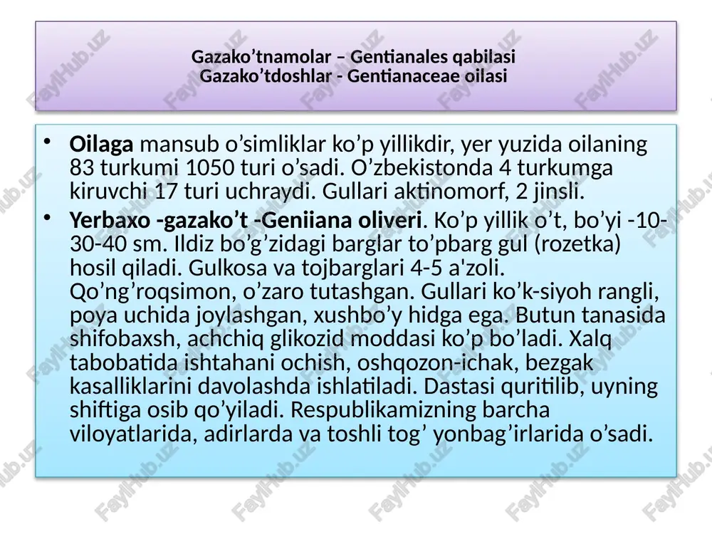bo’yi 60-100 sm, shohlangan, mevalangandan keyin yotib o’suvchi. barglari oddiy, patsimon, chuqur kesilgan. gullari murakkab gajak to’pgulga joylashgan, aktinomorf, gul qismlari beshtali, gultojisi voronkasimon, ochbinafsha rangli. changchilari 5 ta, changdonlari sariq, o’zaro qo’shilib o’sib nay hosil qiladi. urugchisi ikkita mevabargchaning qo’shilib o’sishidan hosil bo’lgan, 2 uyali tugunchasi ustki, mevasi yashilrangli rezavor – meva. kartoshkaning shakli o’zgargan yer osti novdasi-tuganaklarida kraxmal, moy, oqsil moddalari bo’ladi. kartoshka yovvoyi holda markaziy va janubiy amerikaning and tog’larida o’sadi pechaknamolar-convolvulales qabilasi. bu qabilaga 2 ta – pechakdoshlar va zarpechakdoshlar oilalari kiradi. pechakdoshlar-convolvulaceae oilasi bu oilaga 50 ga yaqin turkumga mansub 1500 tur kiradi. asosan tropik va subtropik hududlarda tarqalgan. o’zbekistonda 6 turkumga mansub 22 turi uchraydi. oila vakillari buta, chala buta va o’t o’simliklar bo’lib, ba'zilarining poyalari o’ralib o’sadi. barglari oddiy, butun qirrali, ba'zan o’yilgan yoki patsimon qirqilgan va poyada ketma-ket joylashgan. gullari asosan yakka o’rnashgan, ba'zan dixaziy to’pgulli. gullari ikki jinsli, aktinomorf. gulkosabarglari 5 …