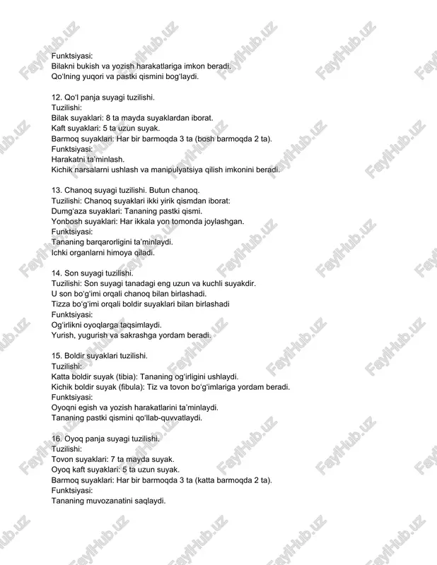 aklari: tananing pastki qismi. yonbosh suyaklari: har ikkala yon tomonda joylashgan. funktsiyasi: tananing barqarorligini ta’minlaydi. ichki organlarni himoya qiladi. 14. son suyagi tuzilishi. tuzilishi: son suyagi tanadagi eng uzun va kuchli suyakdir. u son bo‘g‘imi orqali chanoq bilan birlashadi. tizza bo‘g‘imi orqali boldir suyaklari bilan birlashadi funktsiyasi: og‘irlikni oyoqlarga taqsimlaydi. yurish, yugurish va sakrashga yordam beradi. 15. boldir suyaklari tuzilishi. tuzilishi: katta boldir suyak (tibia): tananing og‘irligini ushlaydi. kichik boldir suyak (fibula): tiz va tovon bo‘g‘imlariga yordam beradi. funktsiyasi: oyoqni egish va yozish harakatlarini ta’minlaydi. tananing pastki qismini qo‘llab-quvvatlaydi. 16. oyoq panja suyagi tuzilishi. tuzilishi: tovon suyaklari: 7 ta mayda suyak. oyoq kaft suyaklari: 5 ta uzun suyak. barmoq suyaklari: har bir barmoqda 3 ta (katta barmoqda 2 ta). funktsiyasi: tananing muvozanatini saqlaydi. harakatlanishni ta’minlaydi. 17. butun kalla. individual, jinsiy xususiyatlari va yoshga qarab o‘zgarishi. tuzilishi: kalla suyaklari 22 ta bo‘lib, ular yassi va mustahkam. kalla suyaklari individual xususiyatlarga ega: …