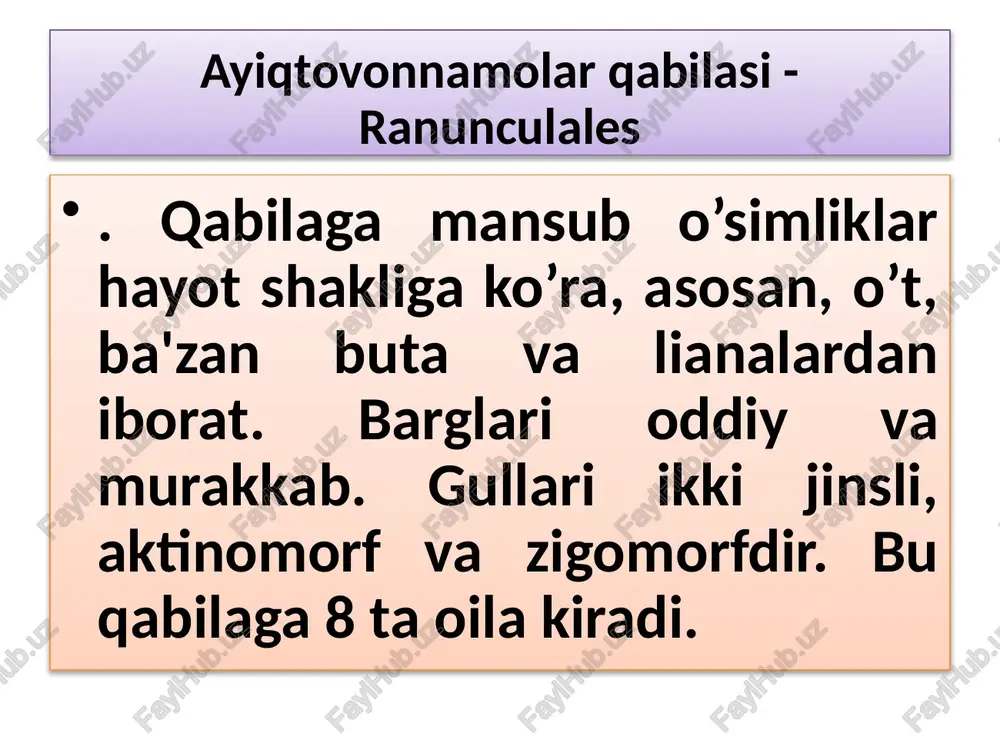 yiq to’pgul bo’lib turadi. gulining qo’sh gulqo’rg’oni bor. gulqo’rg’oni 5 ta, gulkosacha va sariq rangli 5 ta gultojibargidan tashkil topgan. tojibarglarining ostida nektar bezlari bor. changchilari hamda urug’chilari cheksiz, tugunchasi ustki. har qaysi onalikdan changlanish va otalangandan so’ng ochilmaydigan quruq meva - yong’oqcha hosil bo’ladi. bu turlarning hamma vakillari zaharli hisoblanadi. shuning uchun ham ularni mollar yemaydi o’zbekiston respublikasii "qizil kitobi" ga kiritilgan ayiqtovondoshlar oilasining quyidagi turlari - knoring isfaragi. (delphinium knorringianum). zarafshon parpisi (aconium syeravschanicum), oq parpi (aconium talassicum), po’fanagi (anemone protracta), tillarang sug’uro’t (adonis chrysocyathus), tuksiz sug’uro’t (adonis leiosepala), oltoy trolliusi (trollius altaicus).. zirkdoshlar oilasi - berberidaceae oilaning 14 ta turkumi, 650 taga yaqin turi mavjud bo’lib, o’zbekistonda 3 turkumga oid 8 ta turi o’sadi. 1,5 -3 metr balandlikdagi butalar, subtropik va mo’tadil iqlimli mintaqalarda keng tarqalgan. barglari oddiy va murakkab. gullari 2 jinsli, gulkosa va gultojbarglari 6 tadan. changchisi ham 6 ta. zirklarning tarkibida berberin alkaloidi bo’ladi, …