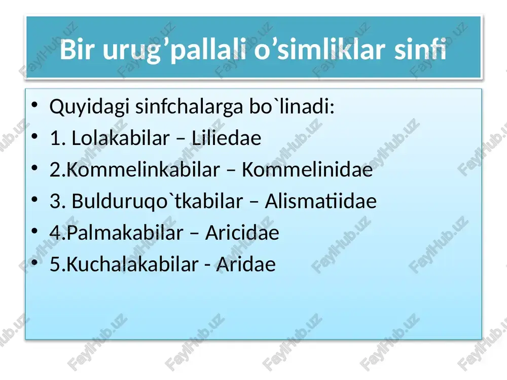 liaceae oilasi. yer yuzining hamma joyida uchrab, oilaga 10 turkum, 500 ta tur kiradi. bizda 4 ta turkumga kiruvchi 70 taga yaqin turlari o’sadi. loladoshlar oilasiga xos bo’lgan belgilardan biri ularning yer osti qismida piyozboshlarining bo’lishidir. gullari yirik, rangli, aktinomorf, ikki jinsli; mevasi – ko’sakcha. manzarali o’simlik hisoblanadi. lolalarning juda ko’p turlari “ozbekiston respublikasi qizil kitobi”ga kiritilgan. qizil lola (greyg lolasi) - tulipa greigi . bo’yi 10 - 45 sm keladigan ko’p yillik piyozli o’t. piyozi tuxumsimon yoki yumaloq. barglari 3-4 tagacha, egribugri, qizg’ish. gullari yakka, to’q sariq, ba'zan to’q qizil, sarg’ish, qizg’ish dog’li. gulining tubi sariq tuxumsimon, qora dog’li. changchi iplari qora yoki sariq, changdonlari sariq, binafsha, kulrang. urug’idan, kamroq vegetativ yo’l bilan ko’payadi . tog’ning pastki qismidagi shag’alli, soz tuproqli yonbag’rlarda o’sadi. judayam polimorf tur hisoblanadi, ko’pgina gibrid formalari mavjud. 1956 yildan boshlab o’zr fa botanika bog’ida ekib kelinadi. nargisnamolar– amarillidales qabilasi qabila 15 ta oilani o’z ichiga …