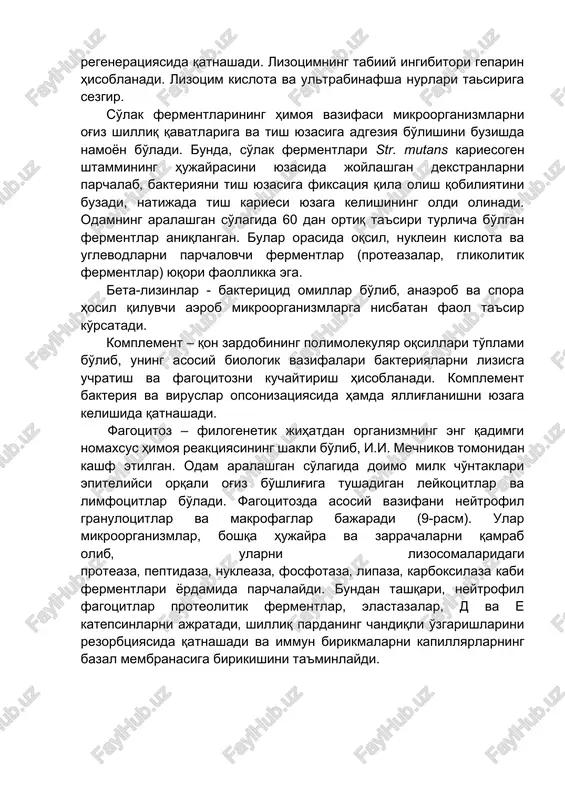 ta'sir ham ko'rsatadi. kimyoviy va fiziologik himoya mexanizmlari.so'lakdagi lizotsim (atsetilmuramidaza fermenti) — mukolitik ferment bo'lib‚ u organizmning barcha sekretor suyuqliklarida, ayniqsa ko'z yoshi‚ so'lak va balg'amda ko'p miqdorda bo'ladi. lizotsim bir qator mikroorganizmlarning, birinchi navbatda, grammmusbat bakteriyalarning hujayra qobig'ini lizis qiladi. bundan tashqari, u leykotsitlarning fagotsitar faolligini oshiradi‚ biologik to'qimalar regeneratsiyasida qatnashadi. lizotsimning tabiiy ingibitori geparin hisoblanadi. lizotsim kislota va ultrabinafsha nurlari tasiriga sezgir. so'lak fermentlarining himoya vazifasi mikroorganizmlarni og'iz shilliq qavatlariga va tish yuzasiga adgeziya bo'lishini buzishda namoyon bo'ladi. bunda, so'lak fermentlari str. mutans kariesogen shtammining hujayrasini yuzasida joylashgan dekstranlarni parchalab‚ bakteriyani tish yuzasiga fiksatsiya qila olish qobiliyatini buzadi, natijada tish kariesi yuzaga kelishining oldi olinadi. odamning aralashgan so'lagida 60 dan ortiq ta'siri turlicha bo'lgan fermentlar aniqlangan. bular orasida oqsil‚ nuklein kislota va uglevodlarni parchalovchi fermentlar (proteazalar‚ glikolitik fermentlar) yuqori faollikka ega. beta-lizinlar - bakteritsid omillar bo'lib‚ anaerob va spora hosil qiluvchi aerob mikroorganizmlarga nisbatan faol ta'sir ko'rsatadi. komplement …