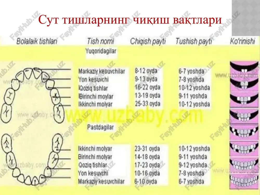 fan:«preklinik stomatologiya» - Page 3