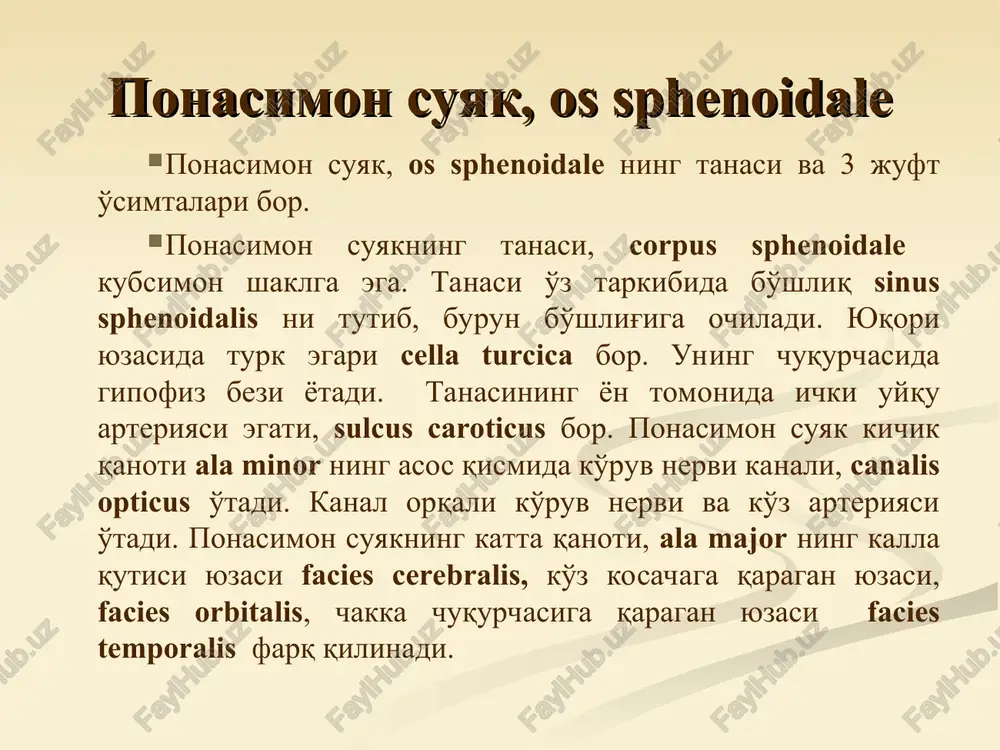 iborat. bu bo'shliqlar antrum mastoideum yordamida o'rta quloq bo'shlig'i bilan tutashgan bo'lib, katta klinik ahamiyati bor. chakka suyagi, os temporale chakka suyagining palla qismi, pars squamosa yassi suyak plastinkadir. u sagittal tekislikda joylashadi va kalla gumbazini yon tomondan shakllantirishda qatnashadi. uning ichki yuzasi facies cerebralis da miya izlari va qontomir egatlari bor. tashqi yuzasining pastki qismida oldinga yo'nalgan o'siq, processus zygomaticus bo'lib, yonoq rovog'i arcus zygomaticus ni hosil qilishda ishtirok etadi. uning ostida esa, pastki jag'ning boshchasi kirib turadigan bo'g'im yuza fossa mandibularis bor. chakka suyagining nog'ora qismi pars tympanica buralgan suyak plastinkasidan iborat bo'lib, pastdan va oldindan tashqi eshituv yo'li meatus acusticus externus ni chegaralaydi. chakka suyagi, os temporale e'tiboringiz uchun raxmat ! anatomy of sphenoid bone sphenoid bone superior view with labels axial skeleton flickr