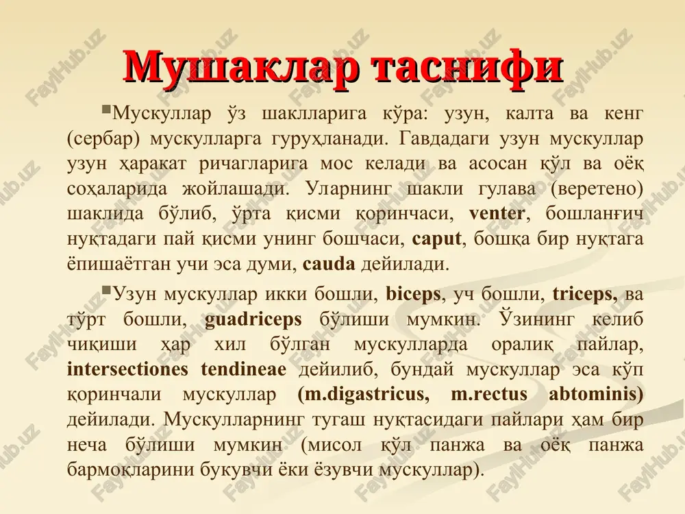 di va trapetsiyasimon muskulning pastki chetigacha etib boradi. muskul dumg'aza suyagi o'tkir qirrasi, barcha bel umurtqalari pastki 5-6 ko'krak umurtqalarining o'tkir o'simtalaridan, yonbosh suyagi qirrasining orqa qismidan va pastki 4 ta qovurg'alardan boshlanib, elka suyagining kichik do'mbog'i qirrasi, crista taberculi minoris ga yopishadi. o'zining boshlanish sohasida fascia thoracolumbalis ga yopishgan keng aponevrozni hosil qiladi. 1. trapetsiaysimon mushak boshlanishi: ensa suaygi, vii bo’yin va barcha ko’krak umurtqalarining qirrali o’simtalari. birlashishi: o’mrov suyagi, kurak suyagining qirrasi va akromion o’simtasi. vazifasi: kurakni umurtqa pog’onasiga yaqinlashtiradi, kurak qimirlamay turganda yuzni qarama-qarshi tomonga buradi, ikki tomonlama qisqarganda boshni orqaga tashlaydi . 2. orqaning serbar mushagi boshlanishi: vii-xii ko’krak va barcha bel umurtqalarining qirrali o’simtalari, 3-4 ta pastki qovurg’alar, yonbosh suyagining qirrasi, dumg’aza suyagi birlashishi: yelka suyagi vazifasi: yelkani yaqinlashtiradi va ichkariga buradi, qo’l qimirlamay turganda tanani qo’lga yaqinlashtiradi orqaning yuza muskullari. vazifasi: elkani yozadi va pronatsiya qiladi va uzoqlashtirilgan qo'lni yaqinlashtiradi. mahkamlangan qo'lda ko'krak qafasini …