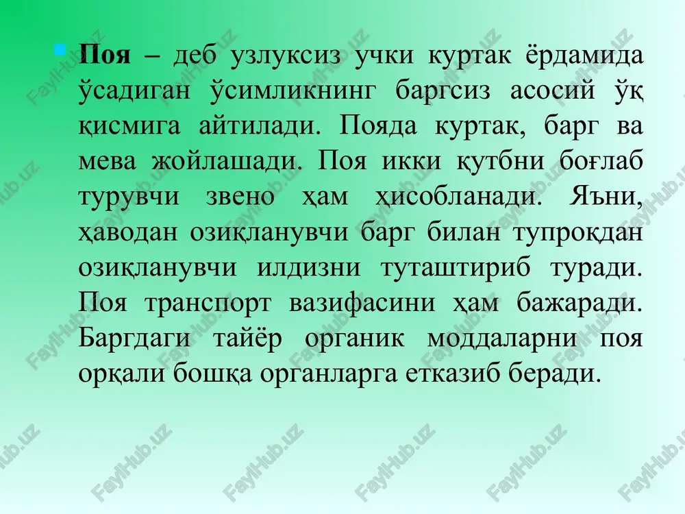 ashgan. epidermis ostining ayrim joylaridav sklerenxima yo'q, buning o'rnini po'stloq parenximasi egallagan bo'ladi, bu parenxima hujayralarida xloroplast bo'ladi. sklerenxima ostida yupqa po'stli, tirik hujayralardan iborat asosiy parenxima to'qimasi joylashgan. bu hujayralar o'zida shakar moddasini to'playdi. parenxima hujayralari orasida o'tkazuvchi naylar to'dasi tarqoq holda joylashgan bo'ladi. o'tkazuvchi to'qima to'dasi mexanik to'qima hujayralari bilan o'ralgan. o'tkazuvchi to'qima to'dasi, asosan kollaterial tipda tuzilgan, ya'ni o'tkazuvchi naylar to'dasining bir tomonida birlamchi ksilema naylari, ikkinchi tomonida esa lub hujayralari va elaksimon naylar joylashgan. floema va ksilema orasida kambiy bo'lmaydi. bug'doy poyasining tuzilishi bug'doy poyasining ichi kavak bo'ladi, bunday poyalar somonpoya deyiladi. bug'doy poyasining sirti epidermis bilan qoplangan. epidermis hujayralari orasida og'izchalar joylashgan. epidermis hujayralari ostida mexanik to'qima sklerenxima joylashadi. sklerenxima poyaga mustaxkamlik beradi. sklerenximadan ichkariroqda asosiy parenxima joylashgan, bu to'qimada yopiq kollekterial nay tola bog'lamlari poyada tartib bilan jaylashadi. amaliy mashg'ulot uchun zarur materiallar: gulsafsar (iris songorica) yoki bug'doy (triticum durum), makkajo'xorining (zea mays) tirik …