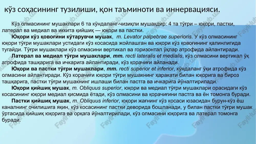ishining medial burchagiga ko'z yosh ko'liga oqadi. ko'zlar yopilganda, u ikkala ko'z qovoqlari va ko'z olmasining orqa qirralari o'rtasida hosil bo'lgan ko'z yoshi oqimi rivus lacrimalis orqali oqadi. ko'z yosh ko'lida ko'z yoshi ko'z qovoqlarining medial uchida joylashgan teshiklarga kiradi. teshiklardan chiqadigan ikkita ingichka ko'z yosh kanalchalar, canaliculi lacrimales, ko'lni chetlab o'tib, alohida yoki birgalikda ko'z yosh qopga oqadi. ko'z yosh qop, saccus lacrimalis, burun - ko'z yosh kanalning yuqori ko'r uchi bo'lib, ko'z bo'shlig'ining ichki burchagida maxsus suyak chuqurchasida yotadi. pars lacrimalis m. orbicularis oculi ko'z yosh qop devoridan boshlab ("yuz mushaklari" ni qarang) uni kengaytirishiga va shu bilan ko'z yoshlarining ko'z yosh naychalar orqali singishiga yordam beradi. ko'z yosh qopining to'g'ridan-to'g'ri davomi burun - ko'z yosh nayi, ductus nasolacrimalis bo'lib, xuddi shu nomdagi suyak kanalidan o'tib, pastki chig'anoq ostida burun bo'shlig'iga ochiladi. ko'z olmasini qon bilan ta'minlashda ishtirok etmaydigan ko'zdan tashqari arteriyalarga ko'z arteriyasining ohirgi shoxlari kiradi: g'altak …
