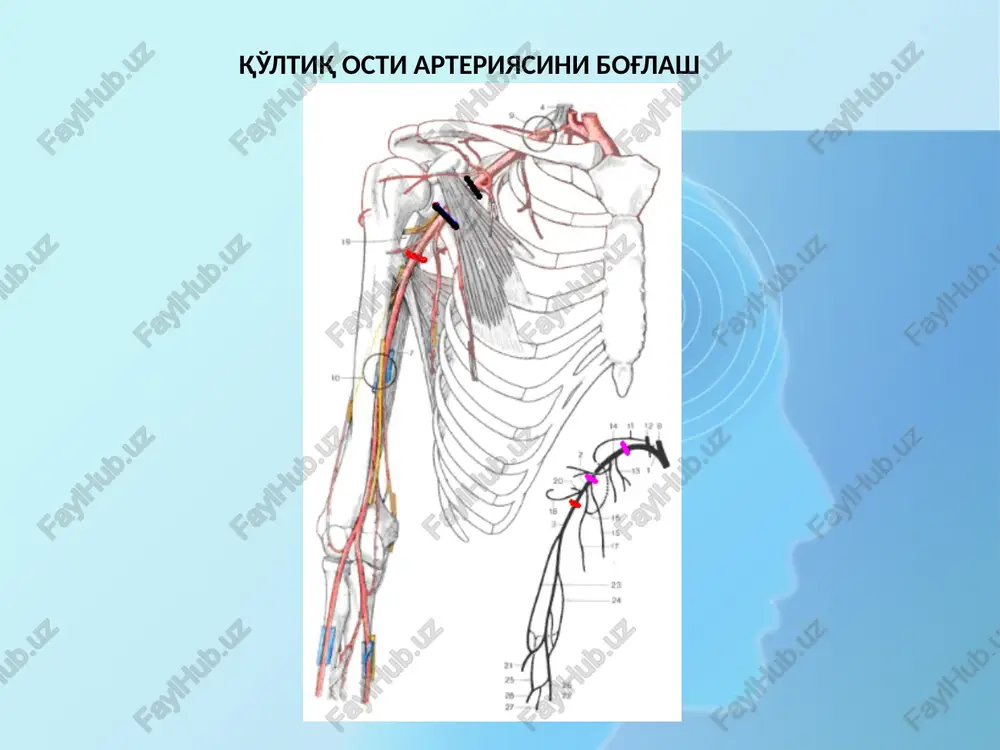 giyasi, monitorlardan foydalanish. jarrohlik operatsiyalarini bajarishning asosiy tamoyillari har qanday jarrohlik aralashuvda uch bosqich mavjud: operativ yul. bu operatsiyaning eng kam jarohati bilan oqilona yondashuvni va organ yoki anatomik shakllanishni manipulyatsiya qilish uchun eng katta imkoniyatlarni ta'minlaydigan qismidir. xuddi shu organda operatsiya turli xil operatsion kirishlar yordamida amalga oshirilishi mumkin. hozirgi vaqtda turli organlarga operativ kirishlar besh guruhga bo'linadi: bo'ylama, qiya, ko'ndalang, burchakli va kombinatsiyalangan. operatsiyani bajarish. xuddi shu kasallik uchun jarrohlik uchun bir nechta variant qo'llanilishi mumkin. misol uchun, oshqozon rezektsiyasi billroth i, billroth ii, hofmeister – finsterer, haberer va hokazolarga muvofiq amalga oshirilishi mumkin. operatsiyadan chikish-bu organga jarrohlik aralashuvni yakunlash bosqichi, shu jumladan jarrohlik yo'li bilan buzilgan to'qimalarning yaxlitligini tiklash. operativ ochib kirish jarrohlik usulini sifatli baholash mezonlari quyidagilardir: kengligi; operatsiya ob'ektga qisqa masofa; asosiy tomirlar va nervlarning yo'nalishini bilish; jarrohlik yarasining chetlarini yaxshi qon bilan va tez bitishini ta'minlash ; infektsiyalangan o'choqlardan uzokda bulish. operatsion bajarish operatsion …