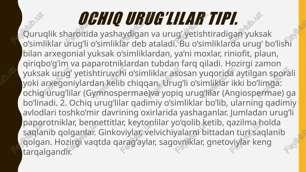 urug`li o`simliklarning ko`pchiligi doimo yashil o`simlik hisoblanadi. ochiq urug’lilar tipi. ochiq urug`li o`simliklar 7 ta sinfga bo`linadi: 1. urug`li paporotniklar 2. sagovniklar 3. bennetitlar 4. kordaitlar 5. ginkgolar 6. igna barglilar 7. ignacha barglilar urug`li qirqquloqlar. ular o`zining tashqi tashqi ko`rinishi bilan hozirgi daraxtsimon qirqquloqlarga o`xshar, lekin har xil sporali bo`lib, urug` yordamida ko`payishi bilan ulardan farq qiladi. uning poyasida qo`sh patsimon yirik - yirik murakkab barglar bo`lar, ularning asosiy bandlari ko`pincha dixotomik shoxlanar edi. poya o`zak qismining juda rivojlangan bo`lishi va kambiy xalqasi yordamida ikkilamchi tartibda qalinlasha olgani bilan ajralib turadi. ikkilamchi yog`och, hozirgi ochiq urug`lilardagiga o`xshash, traxeidlardan tuzilgan, po`stlog`i ancha qalin bo`lgan. liginoptenis mikro-makrosporalar xosil qilgan. sagovniklar. sagovniklar hozir yashab turgan o`simliklar bo`lib, eski (cycas, macrozamia, bowenia, encephalarthos, stangeria kabi avlodlar) va yangi dunyoning (zamia,microcycas, ceratoramia, pioon avlodlari) tropik hamda subtropik mintaqalarida tarqalgan 9 ta avlodi o`z ichiga oladi. sagovniklar - ustunsimon oddiypoyali daraxtlardan; poyasi axayon - axyonda …