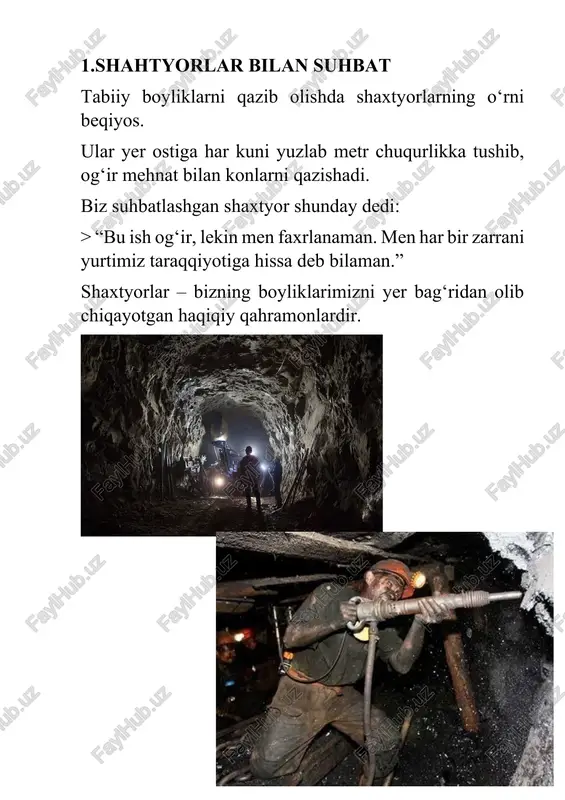 tabiiy boyliklar loyixa ishi - Page 3