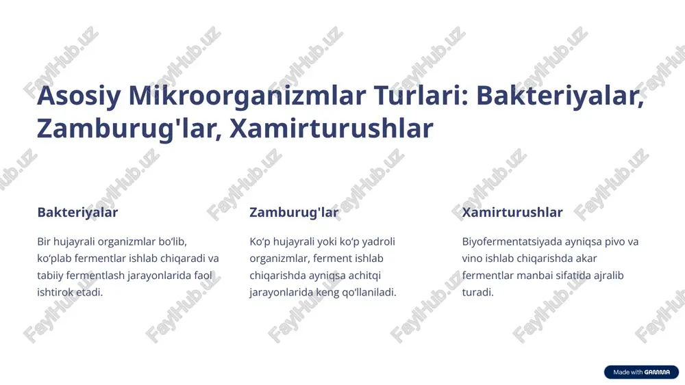 ratish tadqiqotlari olib boriladi. 3 ilmiy qo‘llanilishi yangi mikroorganizmlar muqobil va yanada samarali ferment manbai sifatida qo‘llanilmoqda. 9 xulosa: fermentlash sohasining istiqbollari va qo'llanilishi texnologik rivojlanish yangi ferment ajratish metodlari va mikroorganizmlar yordamida samaradorlik oshadi. 1 sanoat qo‘llanilishi oziq-ovqat, farmatsevtika va bioenergetika sohalarida fermentlardan keng foydalanish davom etadi. 2 barqarorlik biotexnologiyalar ekologik jihatdan toza va barqaror ishlab chiqarish tizimlarini yaratadi. 3 10 image1.png image2.png image3.png image4.png image5.png image6.png image7.png image8.png image9.png image10.png image11.png image12.png image13.png