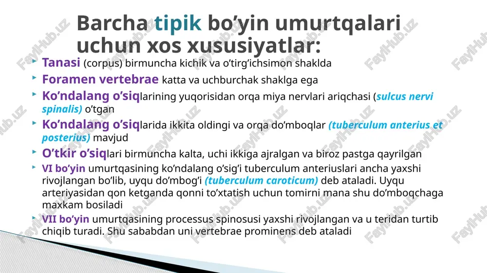 ha tomonga egadi va yuzni qarama-qarshi tomonga buradi. bo’yin mushaklari. bu guruh mushaklariga tilosti suyagiga birikuvchi mushaklar kiradi. tilosti suyagiga birikuvchi mushaklar o’z navbatida tilosti suyagidan yuqorida va pastda joylashgan mushaklarga bo’linadi: 1.tilosti suyagidan yuqorida joylashgan mushaklar: a)ikki qorinchali mushak(m.digastricus)-oldingi va orqa qorinchalar(venter anterior,posterior) dan iborat.faoliyati: pastki jag’ qimirlamay turganida orqa qorinchasi ikki tomonlama qisqarsa,tilosti suyagini yuqoriga va orqaga, bir tomonlama qisqarsa,uni yuqoriga ,orqaga va o’zi tomoniga tortadi. agar tilosti suyagi qimirlamay tursa,pastki jag’ni pastga tortadi. bo’yinning o’rta qavat mushaklari. b)bigizsimon-tilosti mushagi(m.stylohyoideus)- ikki tomonlama qisqarsa,tilosti suyagini yuqoriga orqaga va o’zi tomonga tortadi. c)pastki jag’-tilosti mushagi(m.mylohyoideus)-pastki jag’ qimirlamay turganida,tilosti suyagini va hiqildoqni ko’taradi,tilosti suyagi qimirlamay turganida ,pastki jag’ni tushiradi. d)engak-tilosti mushagi(m.genihyoideus)-m.mylohyoideus ustida yotadi.faoliyati:jag’ qimirlamay turganida,tilosti suyagini va hiqildoqni ko’taradi,tilosti suyagi qimirlamay tursa,pastki jag’ni tushiradi. 1.kurak-tilosti mushagi(m.omohyoideus)-ustki va pastki qorincha(venter superior et inferior) dan iborat.faoliyati:tilosti suyagi qimirlamay tursa, bu mushak ikki tomonlama qisqarsa, bo’yin fassiyasini taranglaydi va bo’yinning yirik venalaridan qon oqishini …