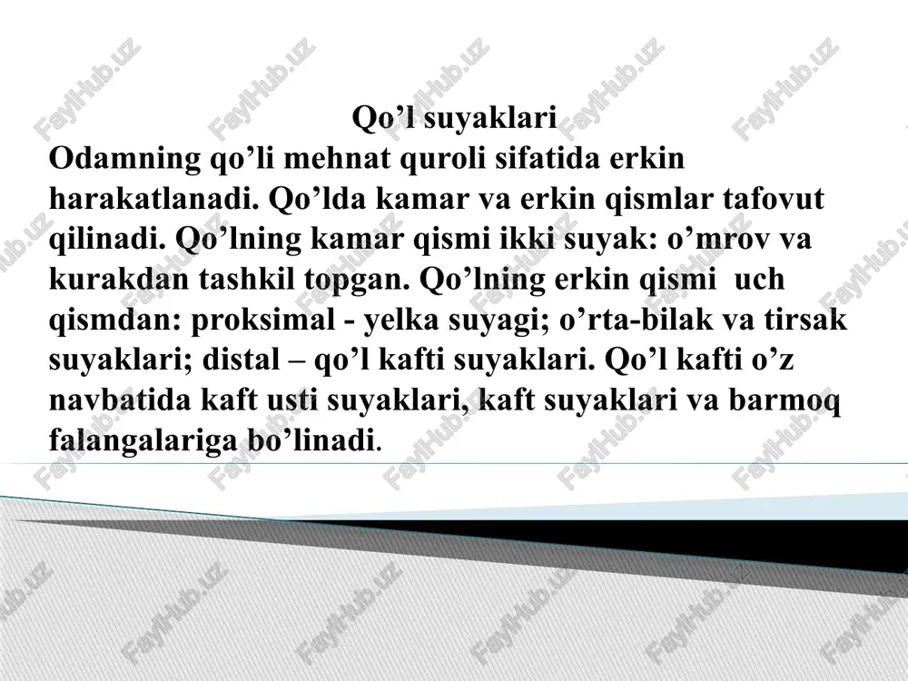 birlashadigan g’altak o’ymasi (incisura trochlearis) bor. bu o’yma yuqori tomondan katta tirsak o’simtai (olecranon), pastdan kichikroq tojsimon o’simta (processus coronoideus) bilan chegaralangan. tojsimon o’simtaning tashqi tomonida bilak suyagi boshi birlashadigan bilak o’ymasi (incisura radialis) joylashgan. old tomonda undan pastroqda tirsak suyagi bo’rtig’i (tuberositas ulnae) bor. tirsak suyagining tanasi uch qirrali. unda uchta: orqa yuzasi (facies posterior), oldingi yuzasi (facies anterior) va ichki yuzasi (facies medialis) tafovut qilinad bu yuzalarni o’zaro uchta: oldingi qirra (margo anterior), orqa qirra (margo posterior), oldingi va orqa yuza o’rtasida joylashgan bilak suyagi tarafdagi suyaklararo qirra (margo interossea) ajratib turadi. suyakning pastki uchi yuqorisiga nisbatan ingichkaroq bo’lib, tirsak boshchasi (caput ulnae) bilan tugaydi. suyak boshchasida bilak suyagi bilan birlashishi bo’g’im yuzasi (circumferentia articularis) joylashgan. suyak boshchasining ichki tomonida bigizsimon o’simta (processus styloideus) bor. bilak (radius) bilak suyagini (radius) yuqorigi nisbatan kichik uchida bilak suyagi boshchasi (caput radii) joulashgan. boshchaning ust tomonida yelka suyagi boshchasi bilan bo’g’im …