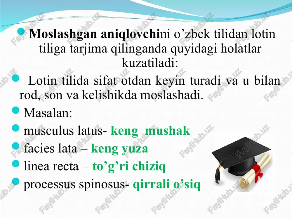 moslashgan aniqlovchi ishtirokidamurakkab anatomik termin strukturasi - Page 3