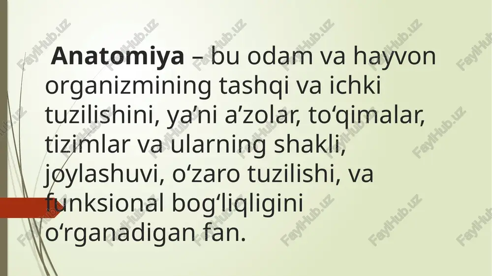 siqlari (processus transversus) lateral va orqa tomonga yo’nalgan. o’tkir o’siqlari (processus spinosus) ham bo’yin umurtqalarinikidan birmuncha uzun bo’lib , bir-birini cherepitsa singari yopib turadi fovea costales i, xi, xii ko’krak umurtqalarida bittadan to’liq chuqurcha bo’lib, unga xuddi shu tartibdagi qovurg’alar birikib turadi ii-x ko’krak umurtqalarida yuqorigi yarim chuqurcha (fovea costalis superior) i-ix ko’krak umurtqalarida pastki yarim chuqurcha (fovea costalis inferior) qolgan barcha ko’krak umurtqalarida bitta yuqorigi va bitta pastki yarim chuqurchalar mavjud. yuqorigi umurtqaning pastki yarim chuqurchasi va pastki umurtqaning yuqorigi yarim chuqurchasi birgalikda bitta butun chuqurchani hosil qiladi. bo’yin umurtqalarining o’ziga xos xususiyatlari bo’g’im yuzalari gorizontal sathda joylashgan umurtqaning ikki yon tomonida ko’ndalang teshiklarning mavjudligi (bu teshiklardan umurtqa arteriyasi o’tib, bosh miyaning ensa qismini qon bilan ta’minlaydi. cii-cv gacha umurtqalarning o’tkir o’siqlari ayri bo’ladi 1-bo’yin umurtqasining tanasi yo’q 2-bo’yin umurtqasining tishi borligi 6-bo’yin umurtqasida umumiy uyqu arteriyasi o’tadigan joy tuberculum caroticum bor. 7-bo’yin umurtqasining o’tkir o’sig’i uzun bo’lib, bu …