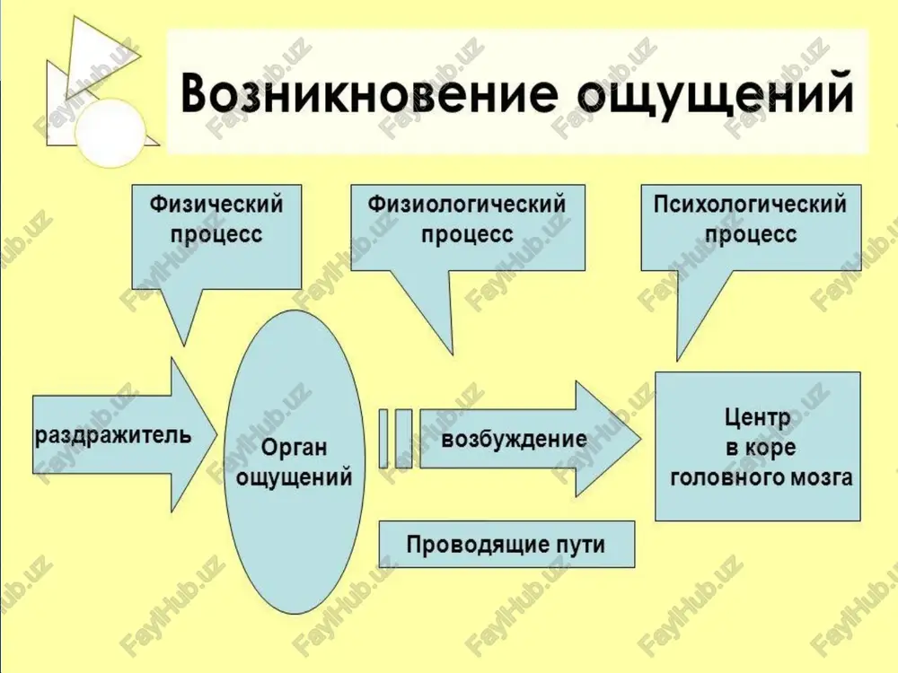 imi, zatushevannimi, nevirazitelnimi. golosa kajutsya tiximi, neyasnimi, kraski - tusklimi, smazannimi, predmeti - nechetkimi, bol - tupoy, ne stol muchitelnoy. anesteziya vipadenie bolevoy, taktilnoy ili inoy chuvstvitelnosti. perenosimost, chuvstvitelnost k boli, po bolevix oshusheniy vesma individualni. nizkaya vospriimchivost k boli - somnitelnoe polojitelnoe kachestvo, poskolku bol yavlyaetsya odnim iz vajneyshix signalov psixofizicheskogo neblagopoluchiya . bol mojet nosit vnushenniy, chisto funktsionalniy xarzkter. prakticheskaya znachimost boli osobenno velika. perejivanie boli vstrechaetsya chasto. perenosimost, chuvstvitelnost k boli, po bolevix oshusheniy vesma individualni. nizkaya vospriimchivost k boli - somnitelnoe polojitelnoe kachestvo, poskolku bol yavlyaetsya odnim iz vajneyshix signalov psixofizicheskogo neblagopoluchiya . bol elementarna, «bol est bol» i po-drugomu ee kvalifitsirova trudno. do six por net udovletvoritelnogo i priznannogo opredeleniya boli, raskrivayushego dostatochno polno sushnost etogo ponyatiya. odna iz naibolee priemlemix xarakteristik boli: bol - nepriyatnoe oshushenie ili emotsionalnoe perejivanie, svyazannoe s realnim i potentsialnim povrejdeniem tkaney ili opisivaemoe v terminax takogo povrejdeniya. * senestopatii …