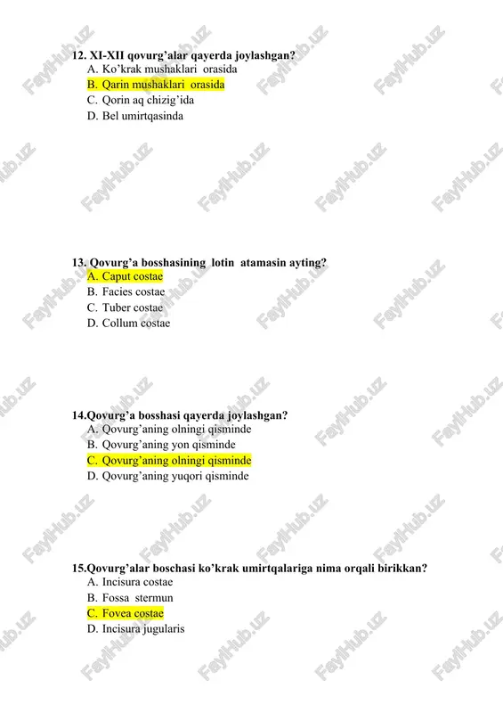 to’sh suyagi qaysi suyaklarga kiradi? 1. yassi 1. govak 1. aralash 1. havo saqlovchi 37. qovurg’a suyagi qaysi suyaklarga kiradi? 1. yassi 1. govak 1. aralash 1. hawa saqlawshi 38. to’sh suyagi necha qismnan turadi? 1. 1 1. 2 1. 3 1. 4 39. to’sh suyagi dastasi lotin atamasin ayting? 1. manubrium sternum 1. corpus sterni 1. sulcus sterni 1. processus sternum 40.to’sh suyagi dastasindagi bo’yintiriq o’ymasi lotin atamasin ayting? 1. incisura jugularis 1. incisura sternum 1. incisura costae 1. incisurae venae 41.to’sh suyagining bo’yintiriq oymasining yon tarafida qanday o’yma bo’ladi? 1. incisura jugularis 1. incisura sternum 1. incisura clavicularis 1. incisurae arteriae 42.qovurg’a oymasi lotin atamasin ayting? 1. incisura costae 1. incisurae sternum 1. incisura jugularis 1. fissure costae 43.to’sh suyagi dastasi tanasi bilan qo’shilib nimani hosil qiladi? 1. corpus 1. tuberculum 1. angulus 1. collum 44. to’sh suyagining lotin atamasin ayting? 1. corpus 1. tuberculum 1. angulus 1. …
