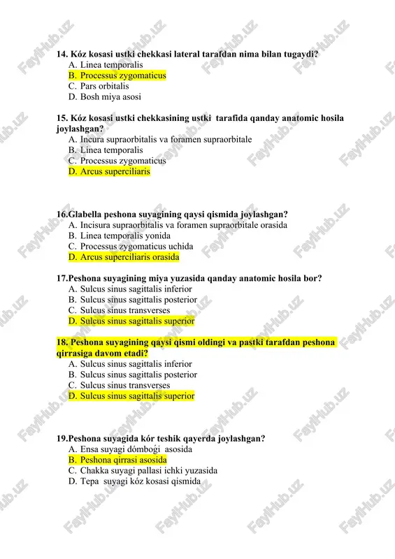 ining kóz kosasining pastki yuzasining medial tamonida qanday anatomic hosila bor? a. fossa glandulae lacrimales b. fovea trochlearis c. spina lacrimalis d. spina nasalis 26. peshona suyagining burun qismi qayerda joylashgan? a. peshona suyagining palla qsimida b. ensa suyagining tashqi yuzasida c. peshona suyagining kóz kosasi qsimi órtasida d. chakka suyagining ichki yuzasida 27. peshona suyagining burun qismi oldingi va yon tarafdan qanday anatomic hosila bilan chegaralanadi? a. incisura parietalis b. incisura temporalis c. incisura zygomaticus d. incisura ethmoidalis 28. peshona suyagining ótkir qiltanoq qismining yon tarafida qanday anatomic hosila bor? a. aperturae sinus frontalis b. aperturae sinus temporalis c. aperturae sinus nasalis d. aperturae sinus ethmoidales 29. ensa suyagining lotin nomin ayting? a. os parietale b. os sphenoidale c. os frontale d. os occipitale 30.ensa suyagi kalla qoqpoǵining qaysi qismin hosil qiladi? a. orqa yuqori qismin b. oldingi pastki qismin c. orqa pastki qismin d. bosh suyagi asosin 31.ensa …