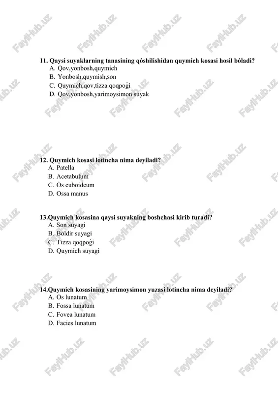 a yóqorgi ótkir ósigidan boshlanadi? a. linea glutea superior b. linea glutea inferior c. linea glutea anterior d. linea glutea posterior 29. yonbosh suyagining ichki yuzasida nima joylashgan? a. fossa iliaca b. crista iliaca c. labium iliaca d. arcus iliaca 30. yonbosh suyagining ichki yuzasining pastki tarafida qanday chiziq bor? a. linea auricularis b. linea inferior c. linea arcuata d. linea glutea 31. yonbosh suyagining dumǵazaga birigadigan yuzasin kórsating? a. facies lunata b. facies acetabuli c. facies auricularis d. facies articullaris 32.quloq suprasi yuzasi yóqorida nima joylashgan? a. tuberisitas auricularis b. tuber auricularis c. tuberculum auricularis d. facies auricularis 33. yonbosh suyagining yoysimon chiziǵi oldingi tarafdan nimaga davom etadi? a. facies auricularis b. tuberisitas auricularis c. eminentia iliopubica d. eminentia ilioischiadica 34. qov suyagi lotincha nima deyiladi? a. ossa scaphoideum b. os ilium c. os coxae d. os pubis 35.qov suyagining qanday qismlari bor? a. ingichka tanasi va bitta shoxi …