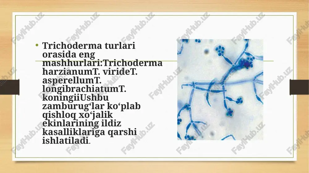 itsidlar iste'mol qilmasdan samarali himoya tizimini yaratadi. e’ tiboringiz uchun raxmat image7.png image8.png image9.png image10.png image11.png image12.png image13.png image14.png image3.png image4.png /docprops/thumbnail.jpeg
