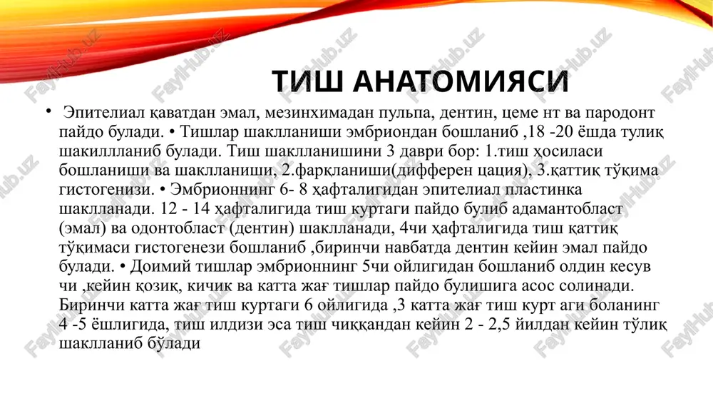 licha minerallashmagan soxalari bo'lib, bir-biridan shakli va emaldagi joylashgan o'rni bilan farqlanadi. emal plastinalari (lamellalar) – emal-dentin chegarasidan boshlanib, emal yuzasigacha davom etadi. ular ingichka yoriq ko'rinishida bo'ladi. lamellalarni bo'yin soxada ko'proq ko'rish mumkin. lamellalar tish chiqqunga qadar xam aniqlanadi, bu emalni rivojlanishidagi kamchiliklardan kelib chiqadi. tish chiqqandan keyin ularning soni ortadi. emal plastinkasi l t l emal urchuqlari – emal-dentin chegarasidan chiqib, emalning 1/3 qismiga kirib boradigan ingichka “ko'r kanallar” bulib hisoblanadi. ularni ichida odontoblast o'simasining oxiri yoki uning degradatsiya xosilasi bo'ladi. emal urchuqlari asosan molyar va premolyar tishlarning chaynov do'mboqlarida bo'ladi. ularni xosil bo'lishini odontoblast (dentinoblast) o'simtasini enameloblast qavatiga, yoki, teskarisi – enameloblast o'simtasini dentin matriksiga birikishi bilan bog'lanadi. emal tutamlari – tishning ko'ndalang kesigida o't tutamlariga o'xshash strukturani ko'rish mumkin. ular emal-dentin chegarasidan boshlanib emalning 1/3 qismiga boradi, bo'yin soxada esa, emal yuzasiga etishi mumkin. ular emal lamellalari bilan parallel joylashadi. emal tutamlari emalning xususiyatlari: tomirsiz, xujayrasiz, …