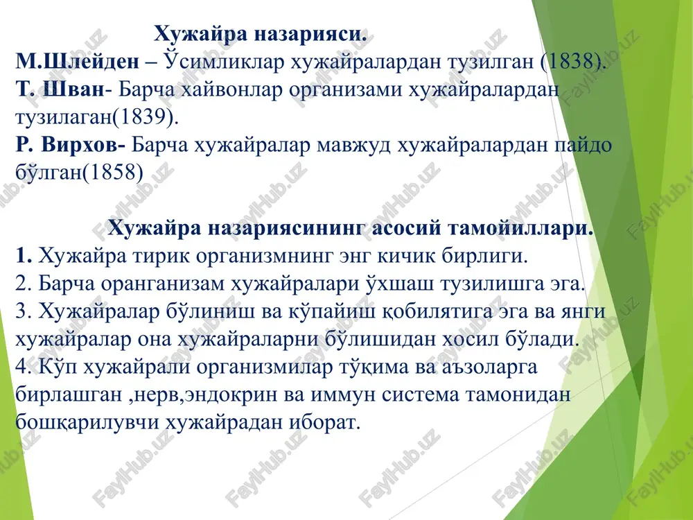 bo'linadi. (bir va ikki qavatli membrana) kiritmalar – trofik, sekretor,pigment va qoldiqlar xosil qiladi. tsitoplazmaning asosiy vazifalari: 1. tayanch va transport – moddalar va organoidlarning harakatlanishini ta'minlaydi. 2. bioximiyaviy reaktsiya muhiti – hujayradagi ko'pgina metabolik jarayonlar shu erda sodir bo'ladi. 3. organoidlarni bog'lash – ularning o'zaro muvofiq ishlashini ta'minlaydi. 4. zaxira vazifasi – uglevodlar, yog'lar va boshqa moddalarni saqlaydi. endoplazmatik to'r – bir qavat membrana bilan o'ralgan vakuolalar va kanalchalardan tashkil topgan. endoplazmatik to'r hujayrada moddalarni tashish, saqlash va qayta ishlashda muhim rol o'ynaydi. shuningdek, u hujayraning tashqi muhit bilan aloqasini ta'minlashda ishtirok etadi. ribosomalar tutuvchi – donador ept. ribosoma tutmaydigan- silliq ept. donador ept- membranali qavatlar – ichki hujayraviy kanallardan tashkil topgan. u oshqazon osti bezi, leykotsitlar, jigar, neyronlar, bez xujayralarida uchraydi. ribosomalar – ept membranasida joylashib, oqsil sintezida ishtirok etadi. tsisternalar – moddalarni saqlash va tashish uchun xizmat qiladi. funktsiyasi: oqsil sintezi – ribosomalar yordamida turli xil oqsillar …